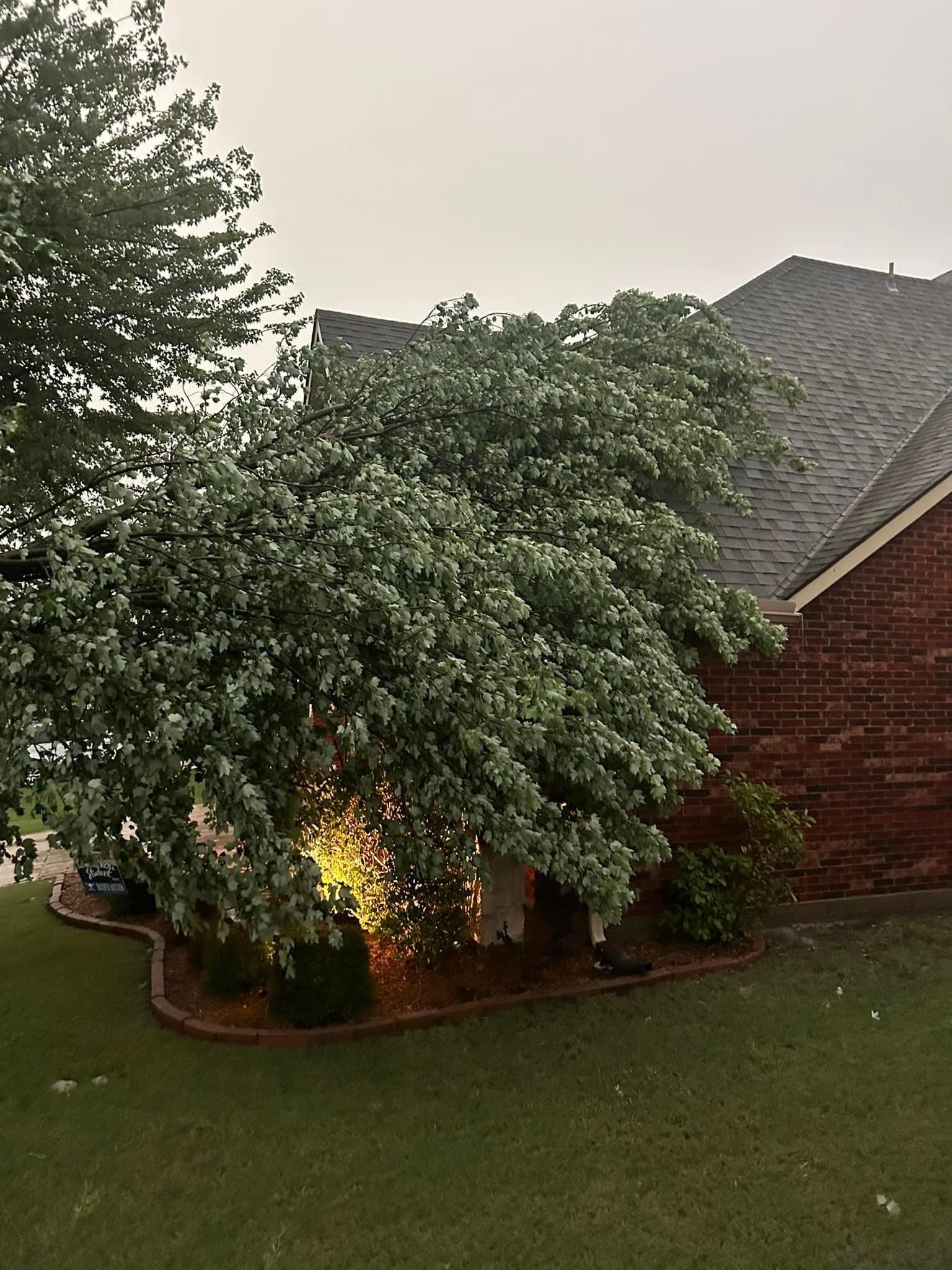 Wylie… insane, howling winds, sirens were going off. The picture of the<br />
tree branches through the window… They’re not supposed to be there.
Thanks, Rachael