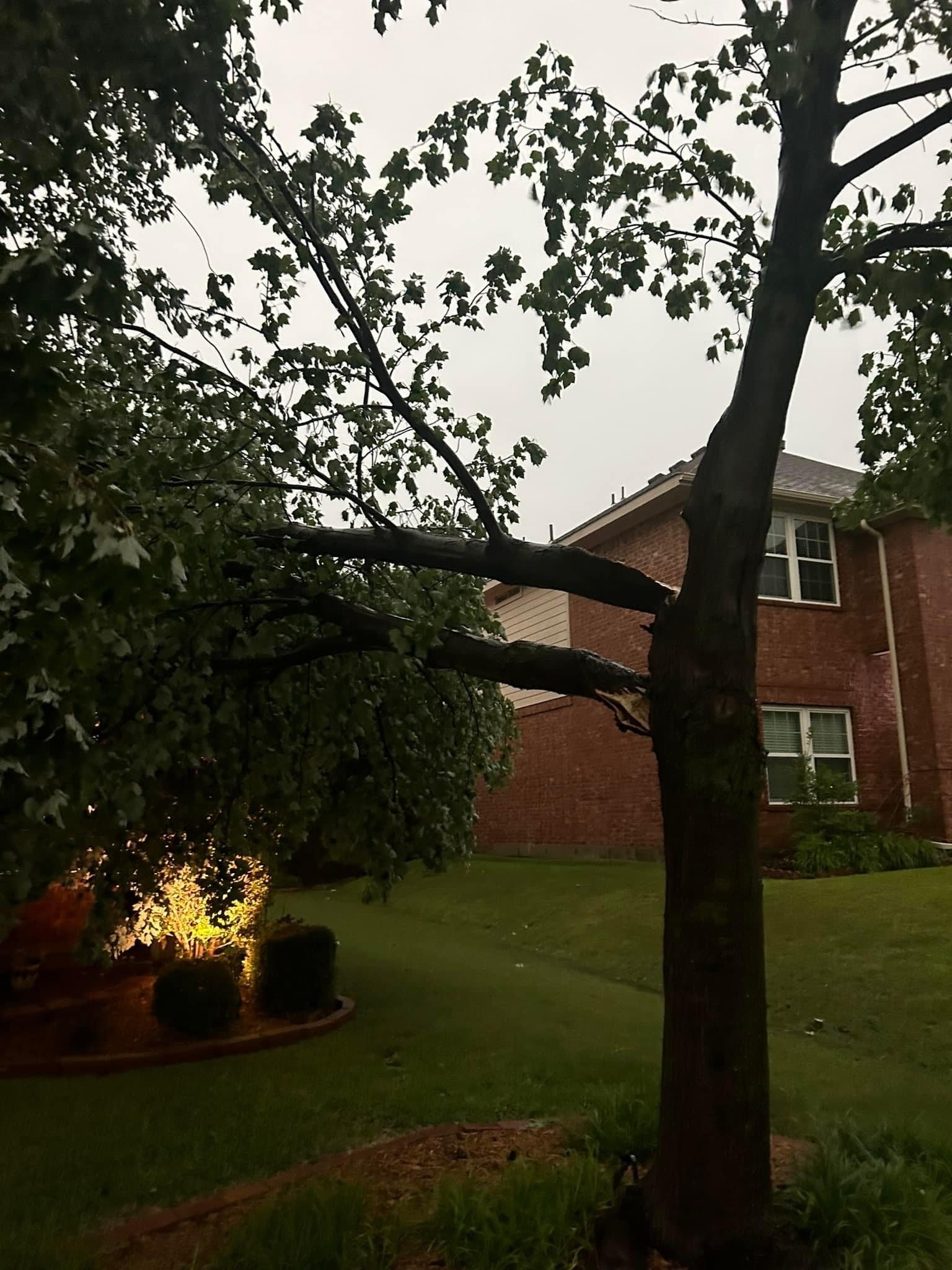 Wylie… insane, howling winds, sirens were going off. The picture of the<br />
tree branches through the window… They’re not supposed to be there.
Thanks, Rachael