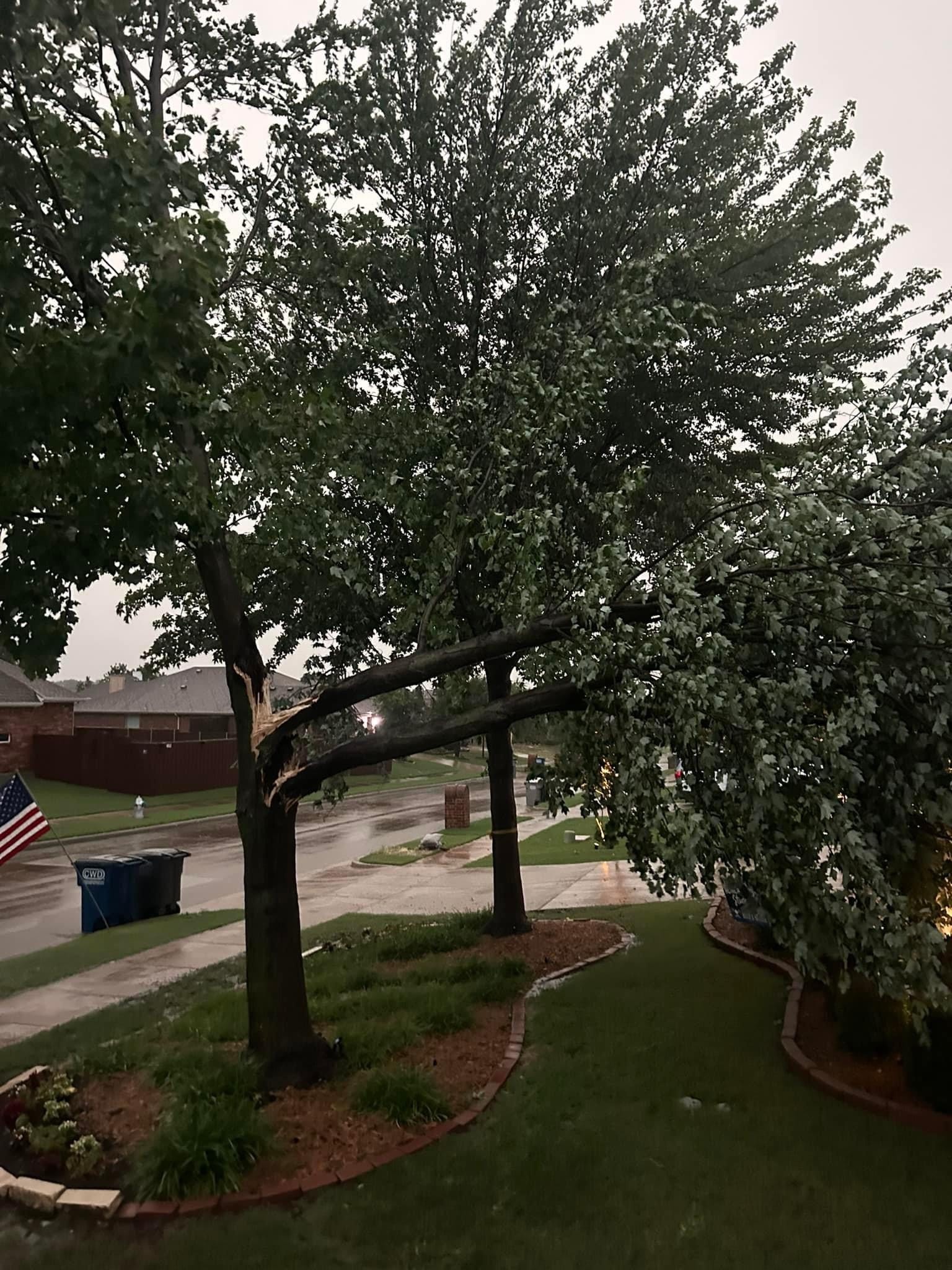 Wylie… insane, howling winds, sirens were going off. The picture of the<br />
tree branches through the window… They’re not supposed to be there.
Thanks, Rachael