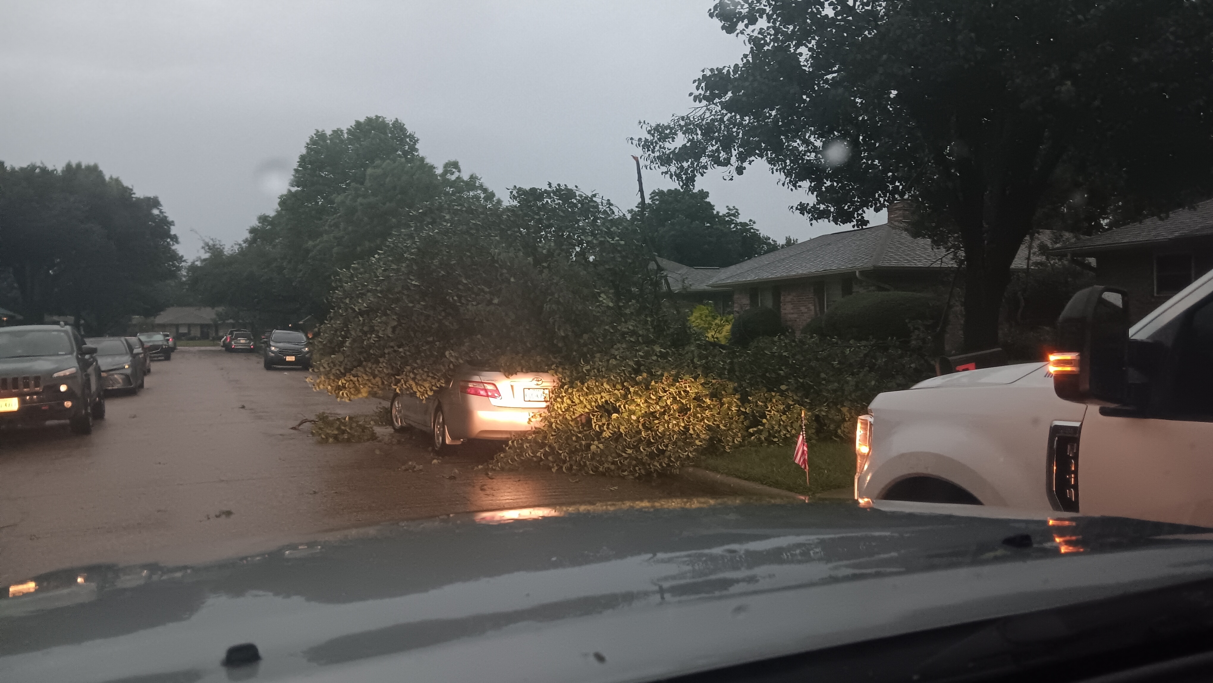 Tree down in central Plano between Park and Parker off Custer.