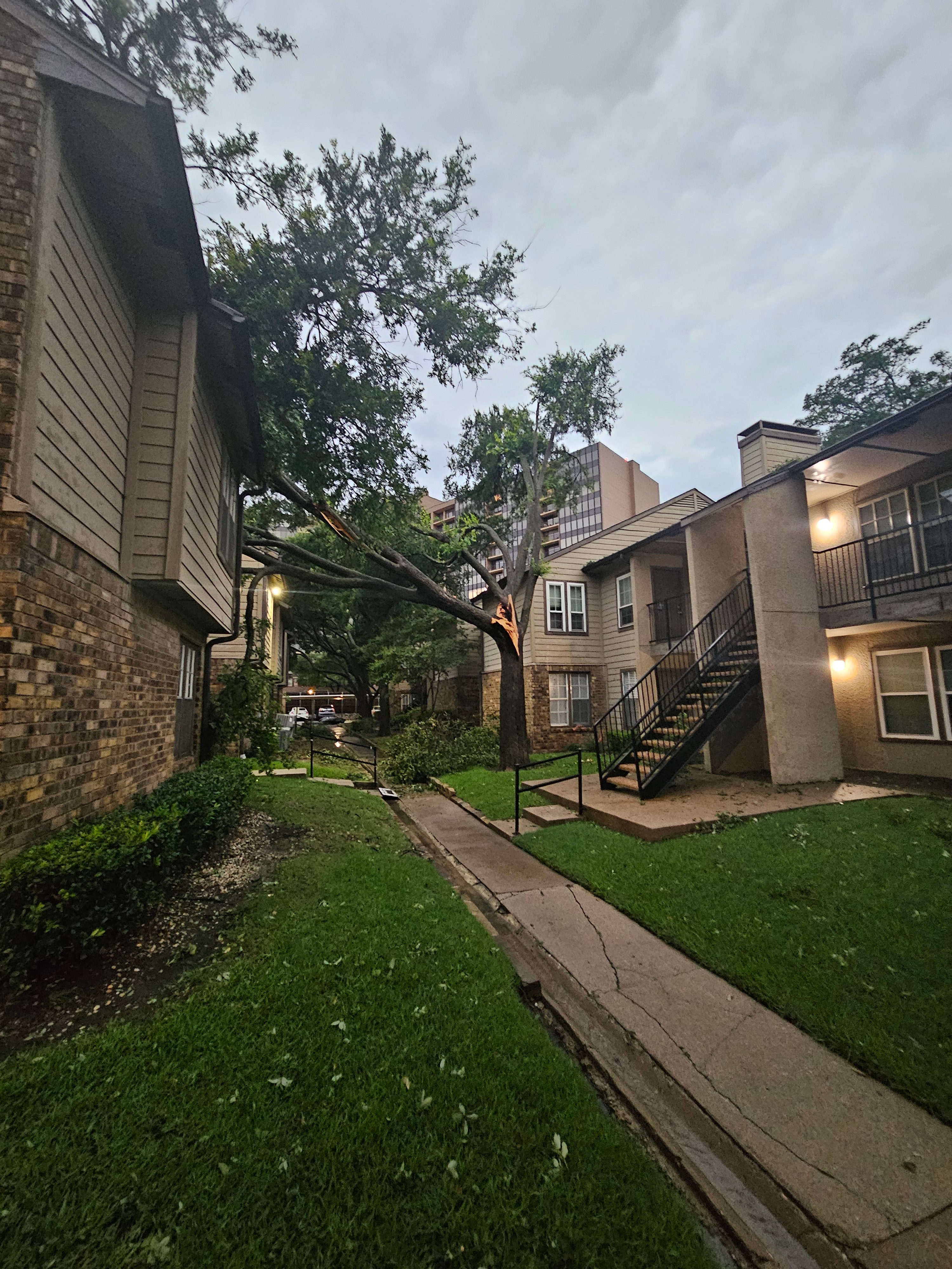 Tree fell onto condo, blocking exit from second floor.
