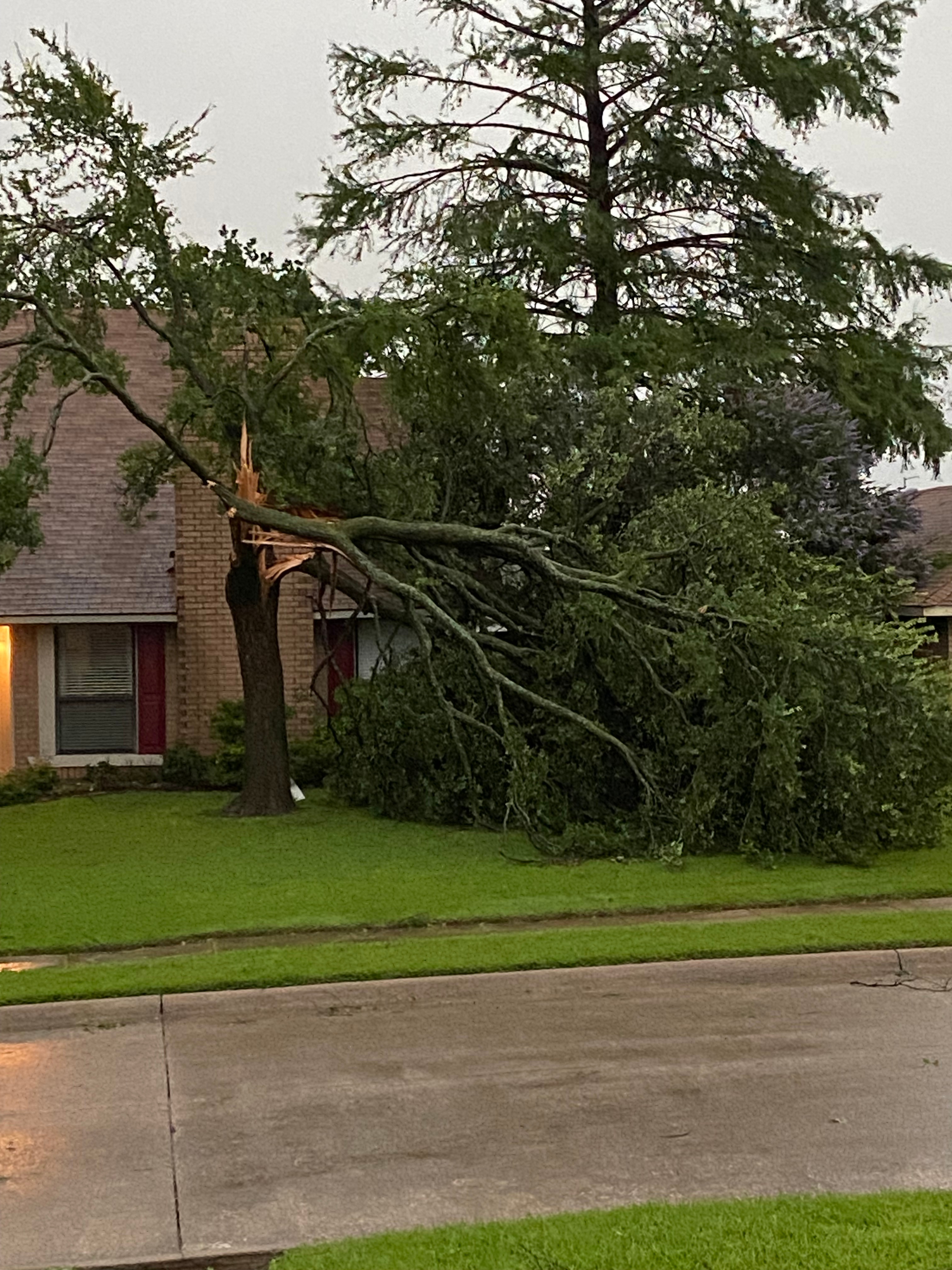 Neighbors home