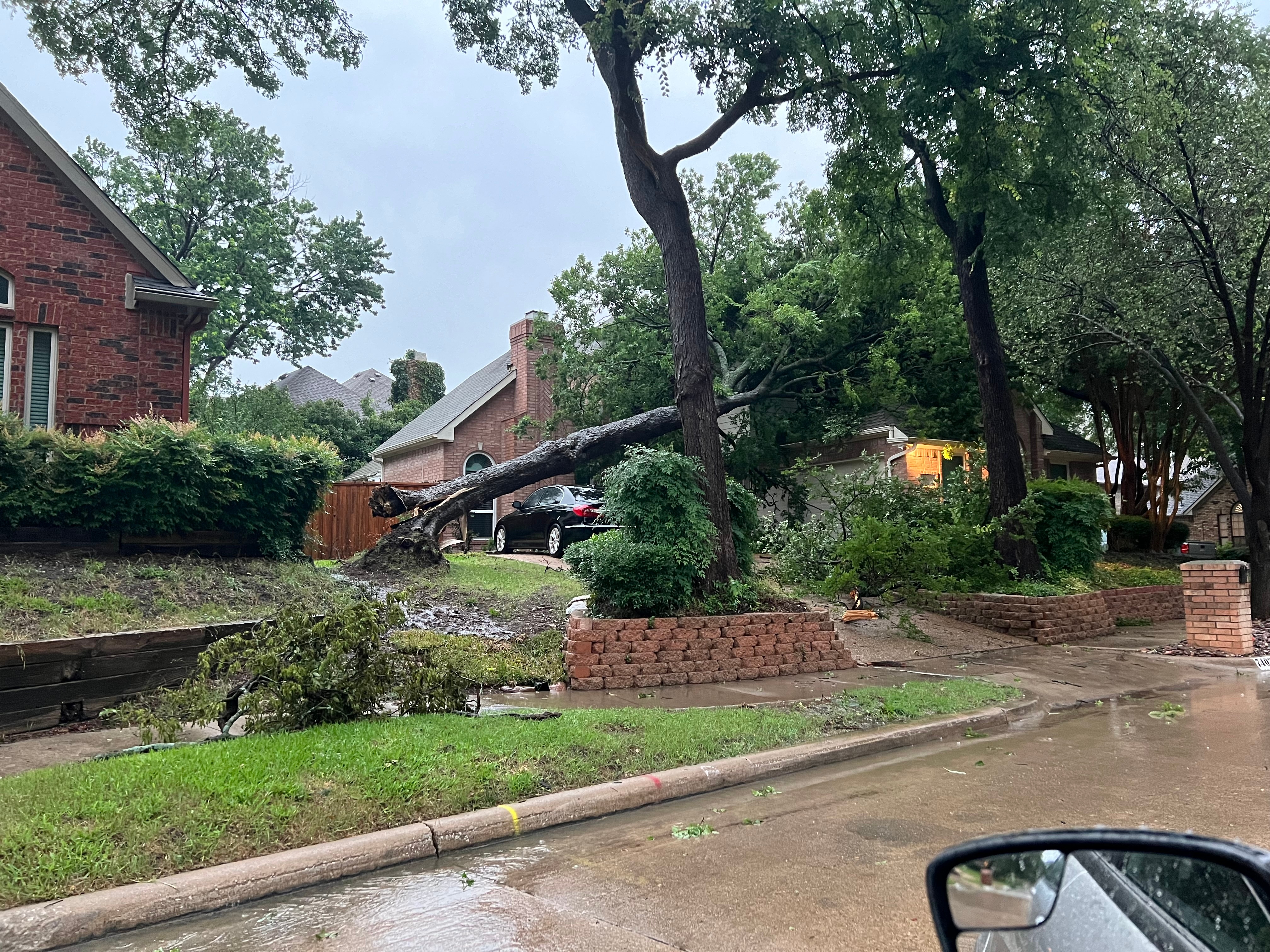 Tree down on home/car in Spring Park neighborhood of Garland, TX