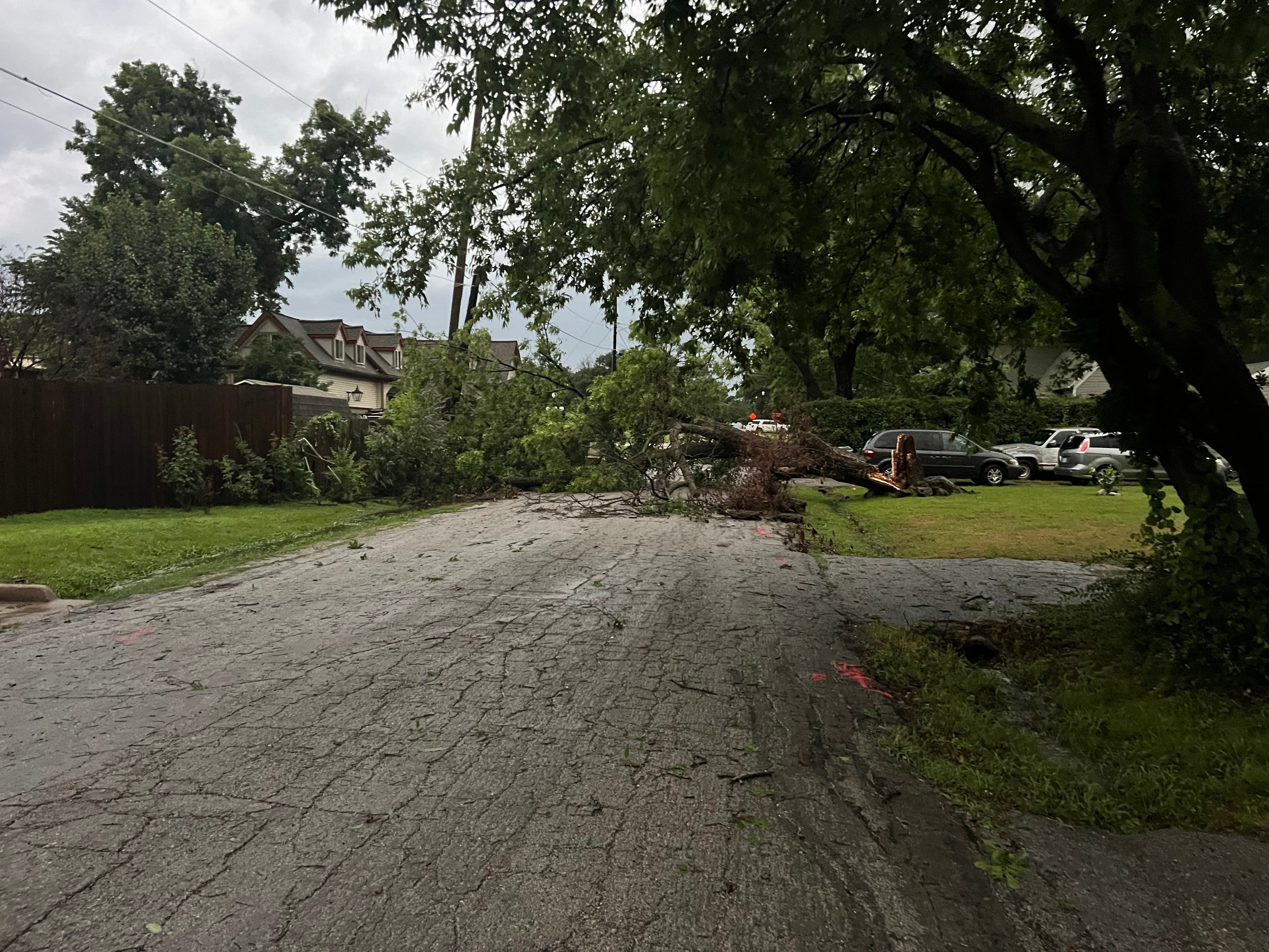 Storm blew the tree over and is blocking the road near Old Town Lewisville