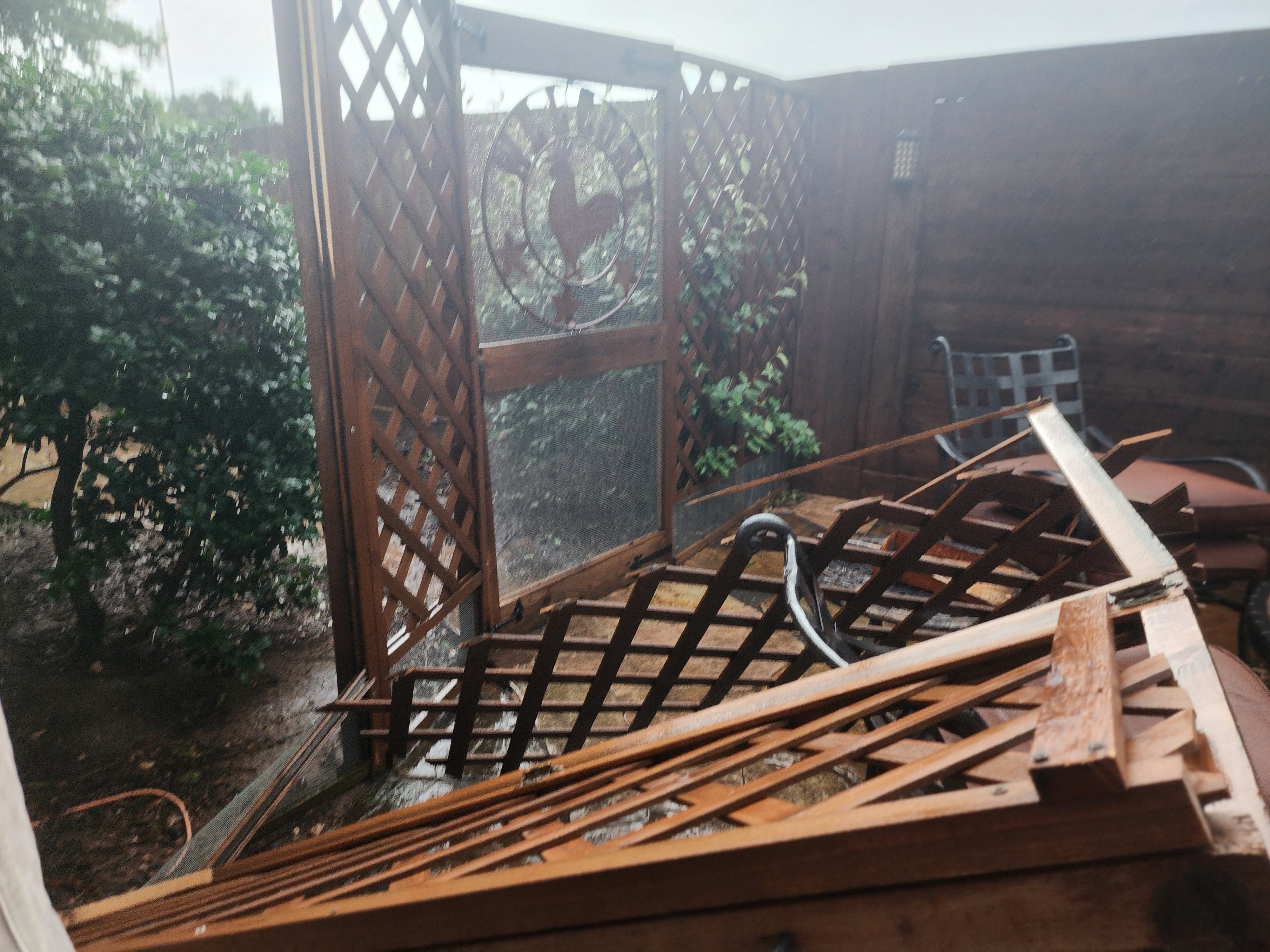 Chicken yard fence blew down!