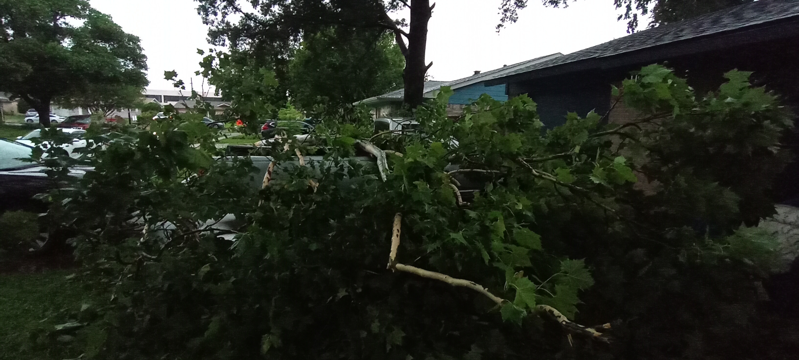 5/28/2024 High winds Richardson damage
Pamela Davis<br />
Plano rd beltline road and Arapaho rd