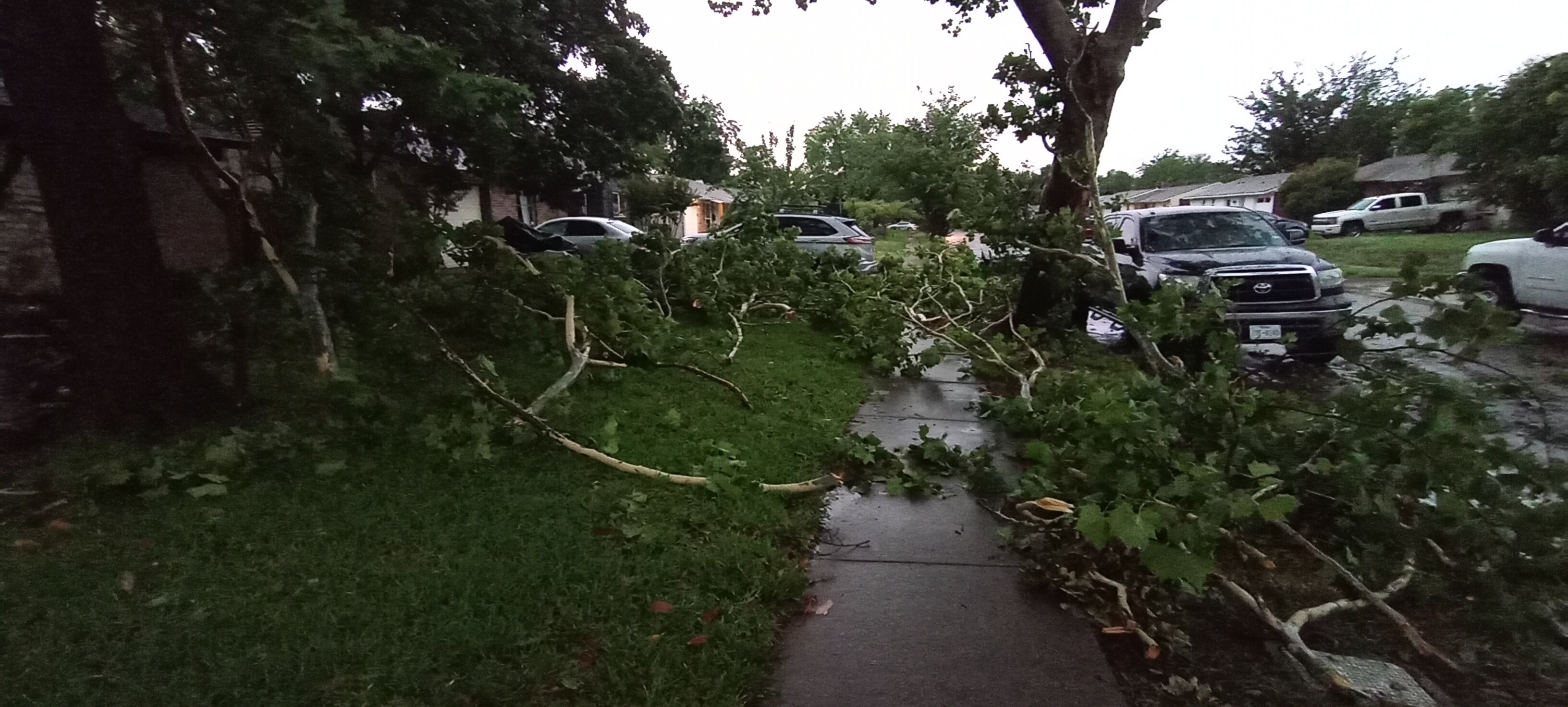 5/28/2024 High winds Richardson damage
Pamela Davis<br />
Plano rd beltline road and Arapaho rd