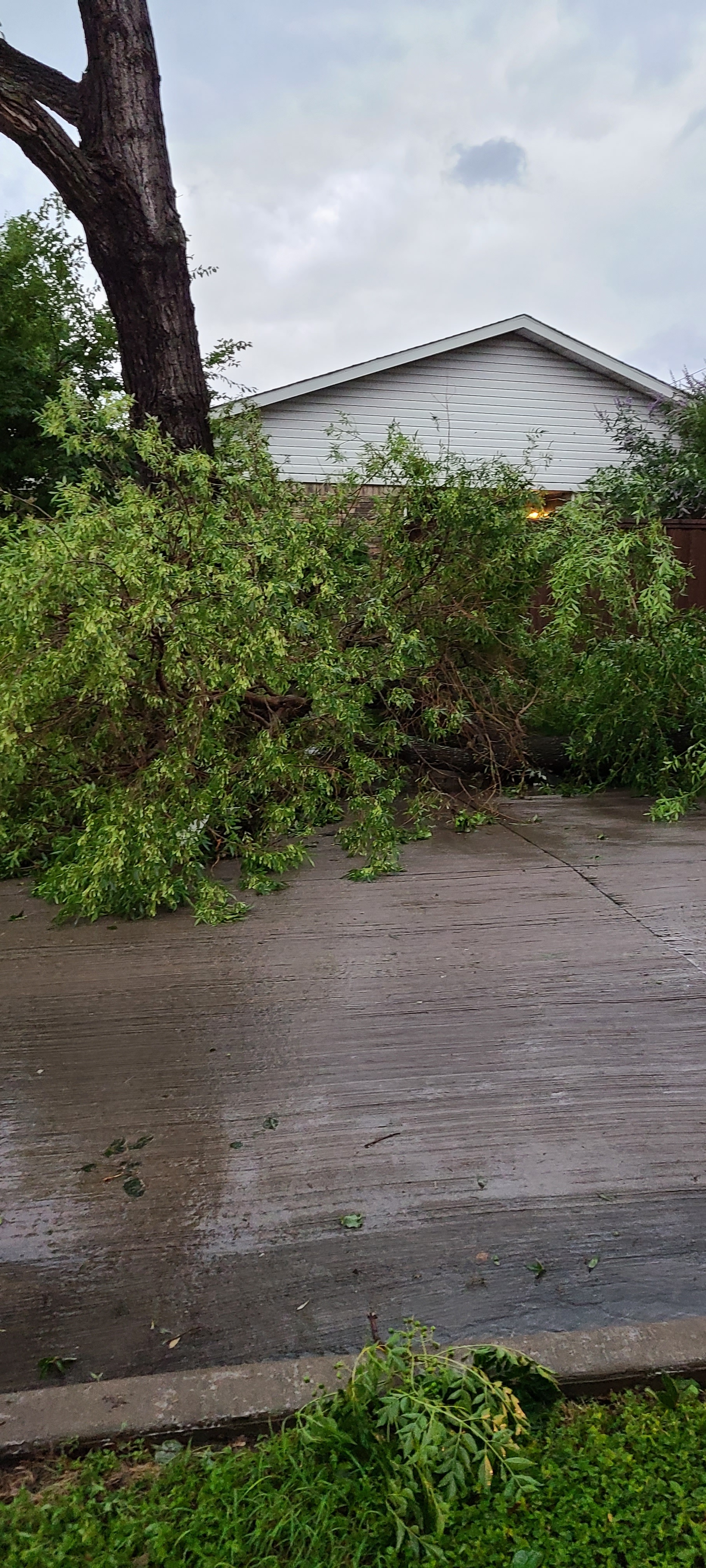 Looks like a we had bad winds and took off the neighbors roof.
Yahoo Mail: Search, Organize, Conquer