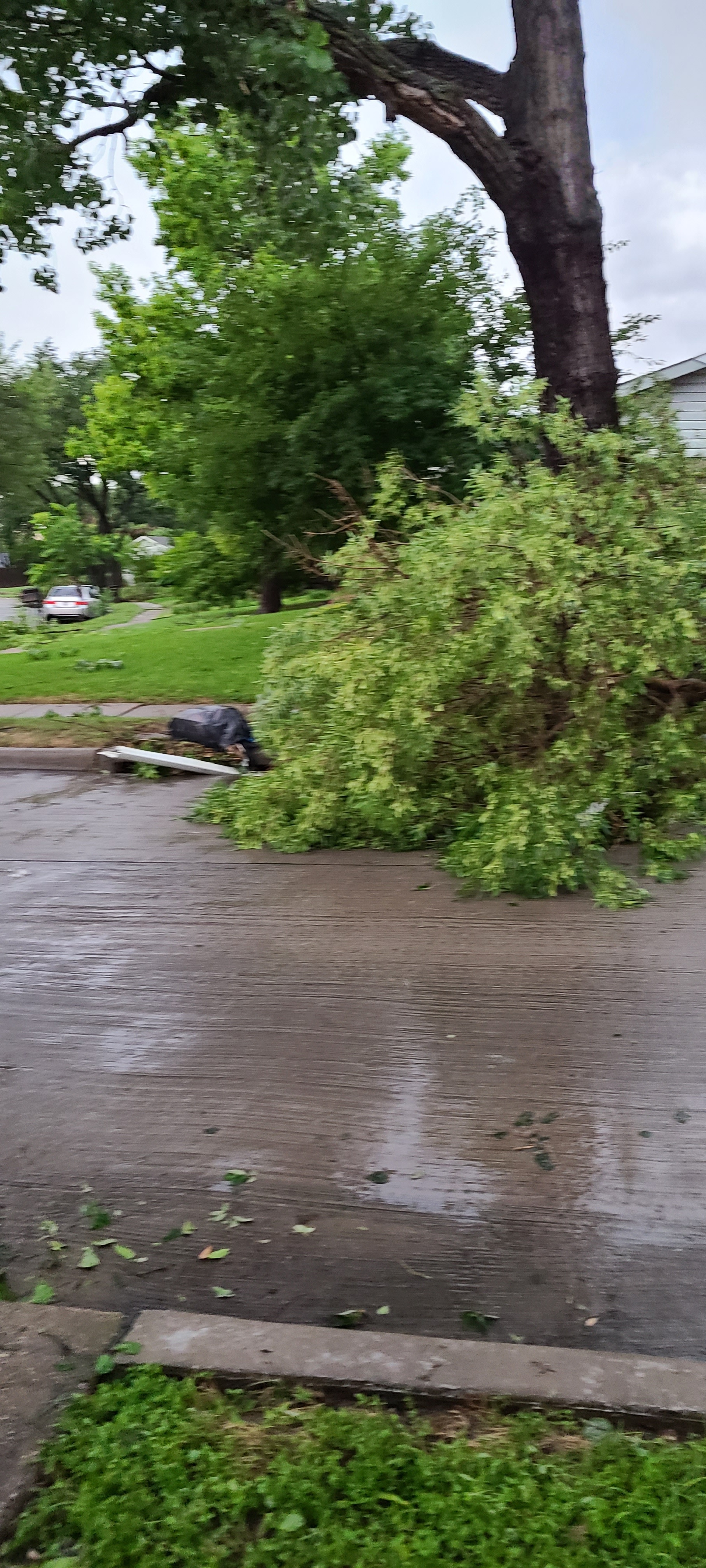 Looks like a we had bad winds and took off the neighbors roof.
Yahoo Mail: Search, Organize, Conquer