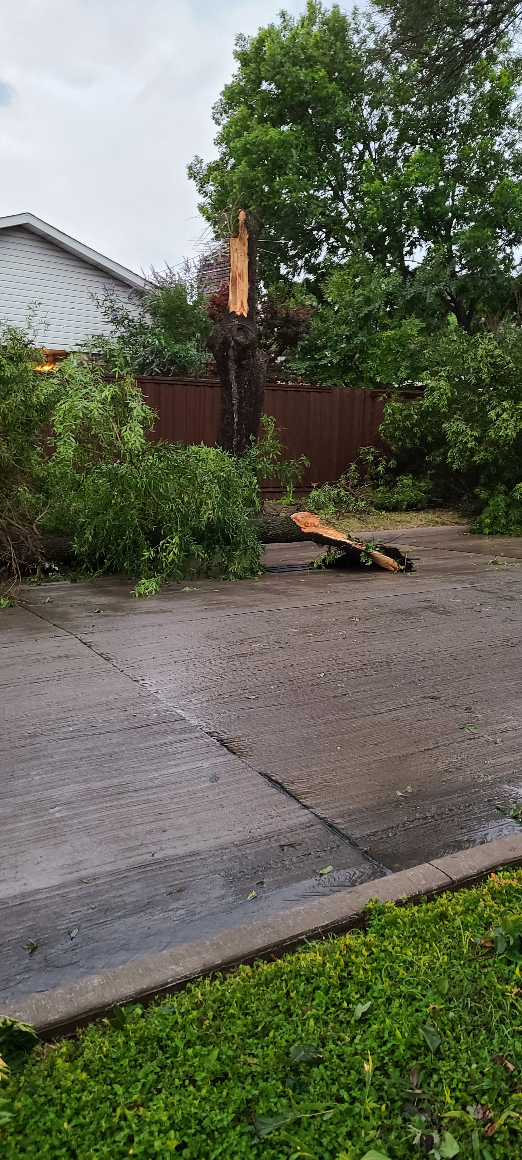 Looks like a we had bad winds and took off the neighbors roof.
Yahoo Mail: Search, Organize, Conquer
