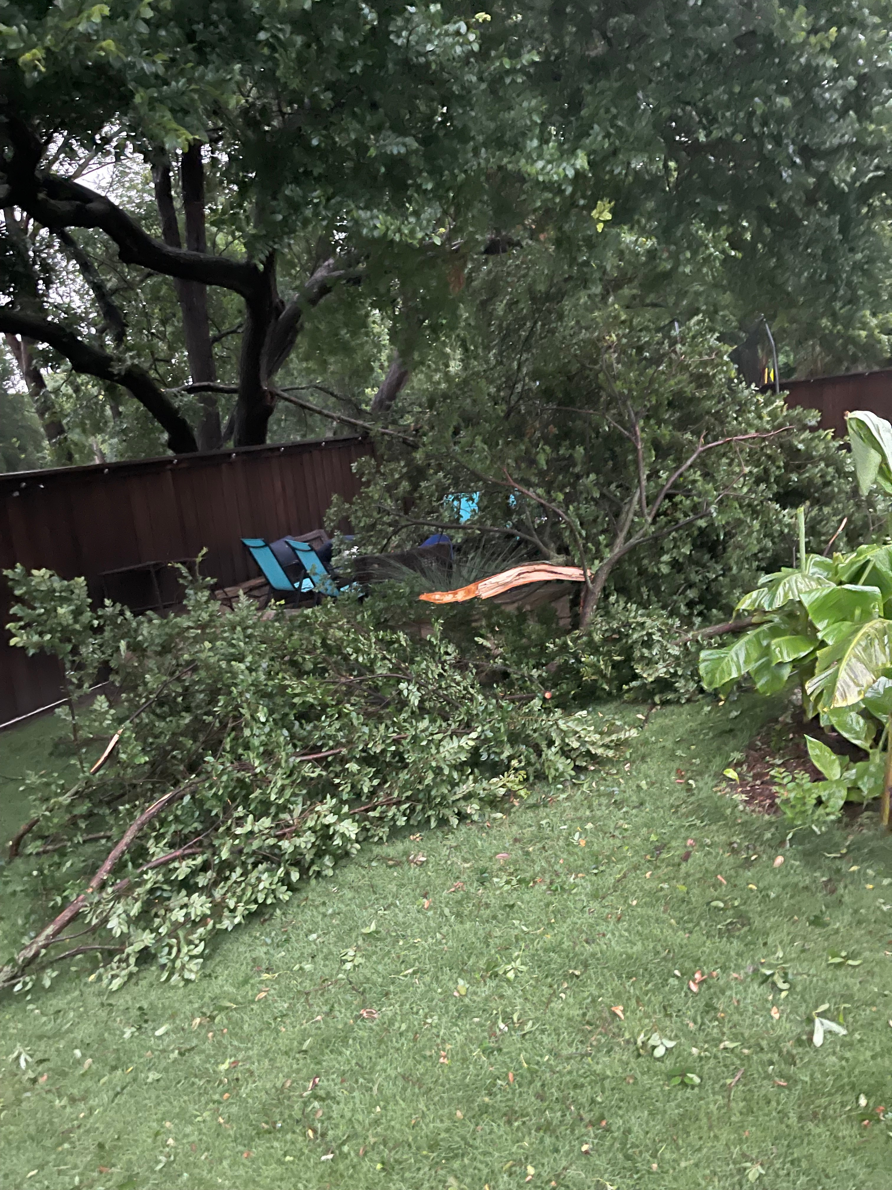 North Plano storm our backyard