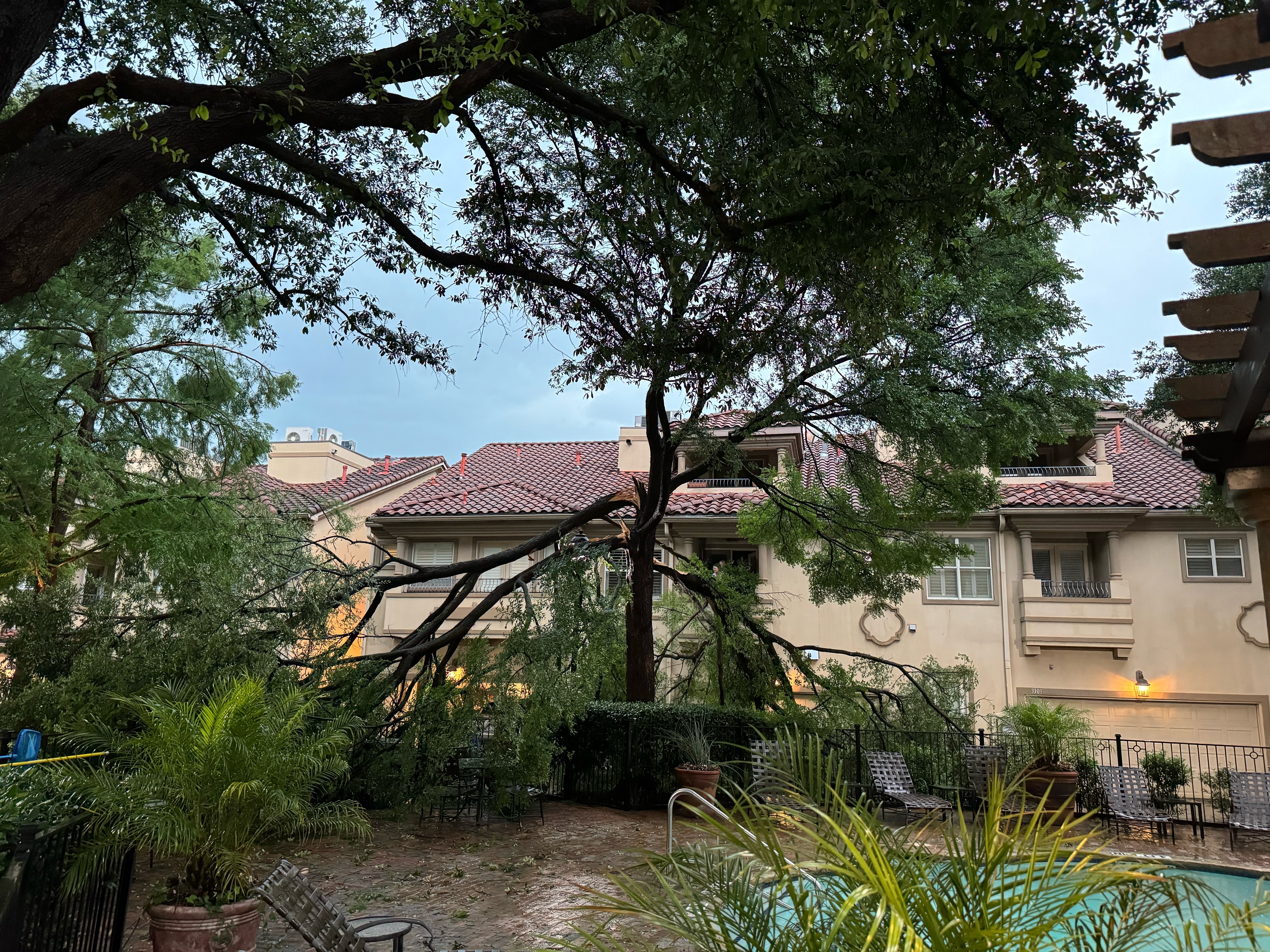We live in a townhome complex in uptown.  Our location is near the corner of Travis and Haskell.