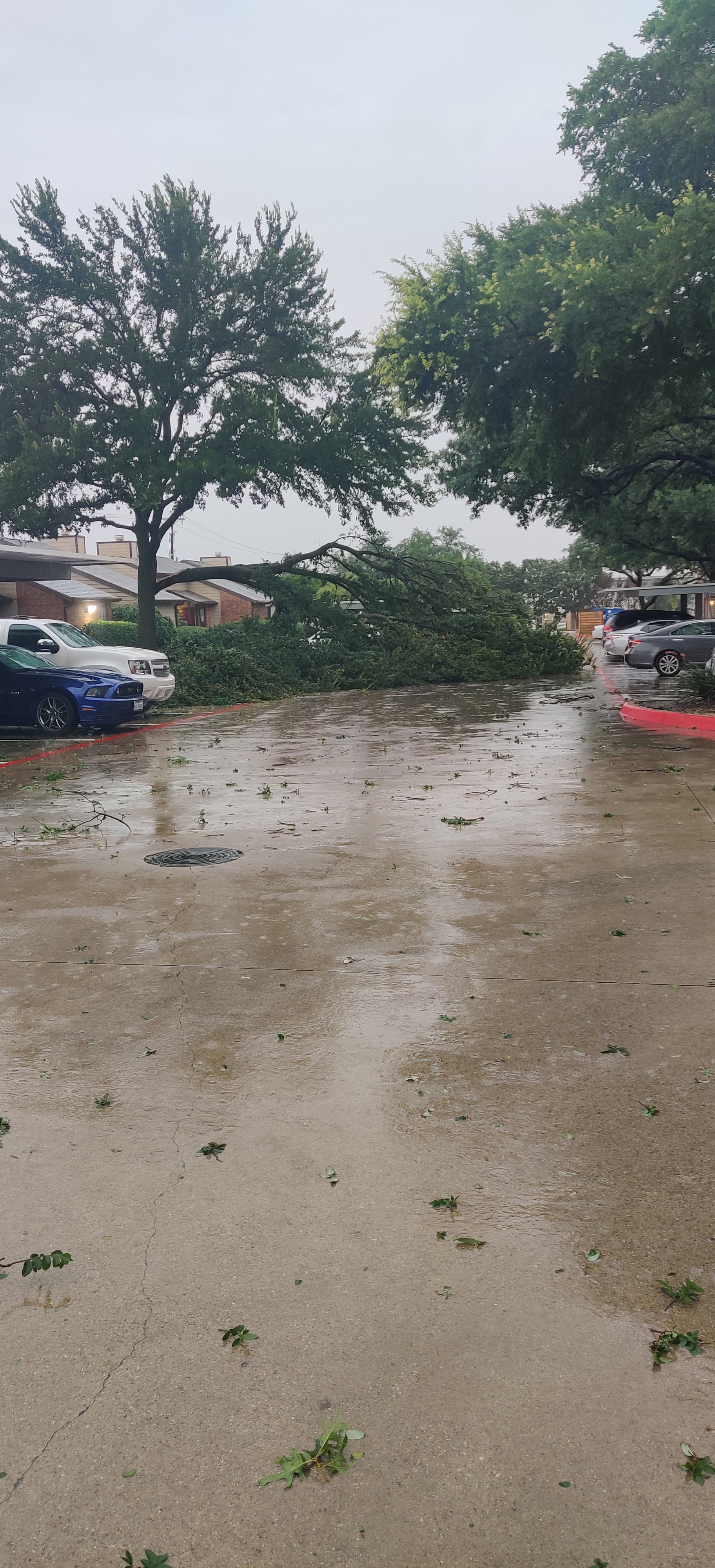 At apartment off Independence and Spring Creek