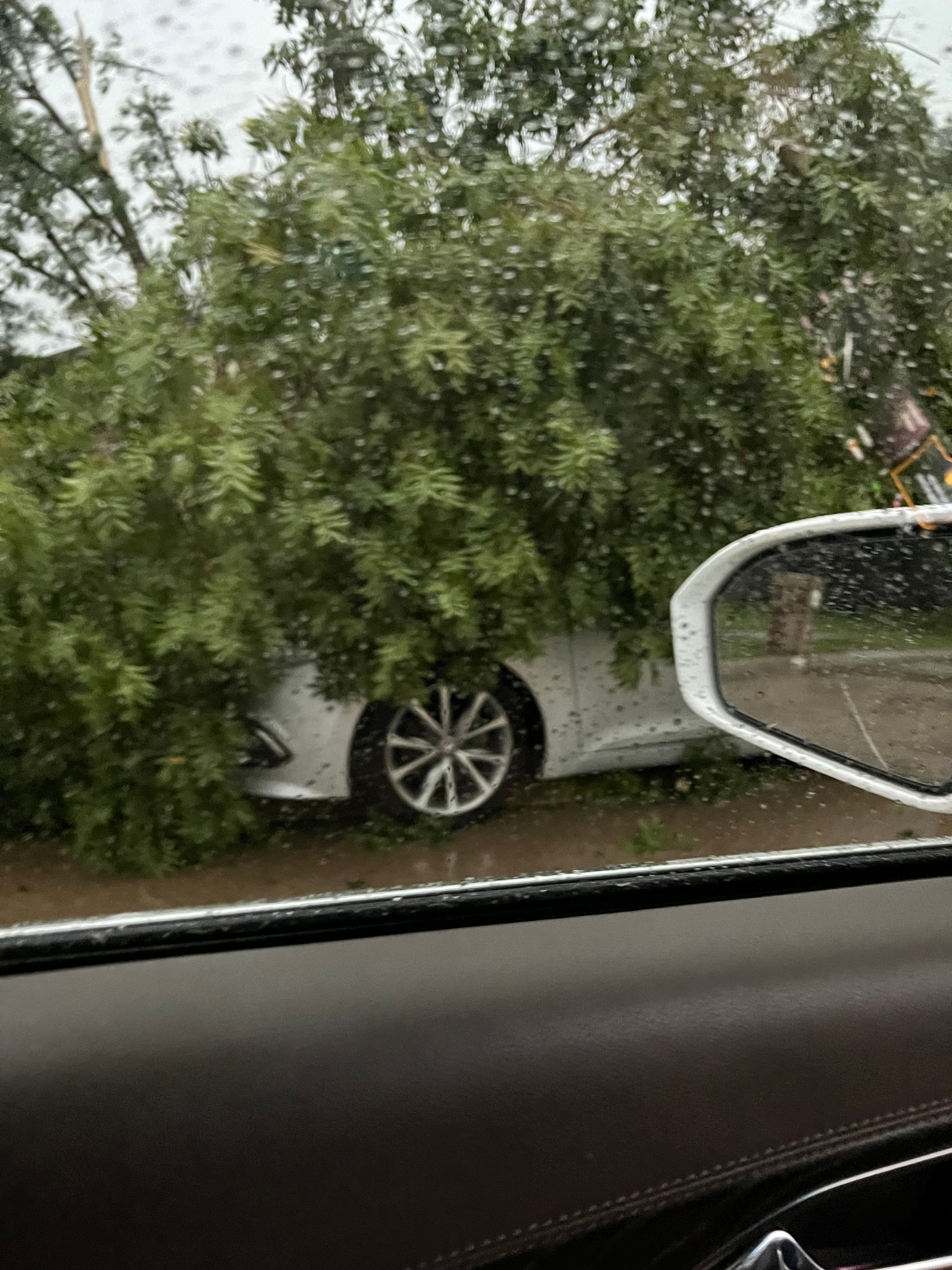 Spring Creek and independence