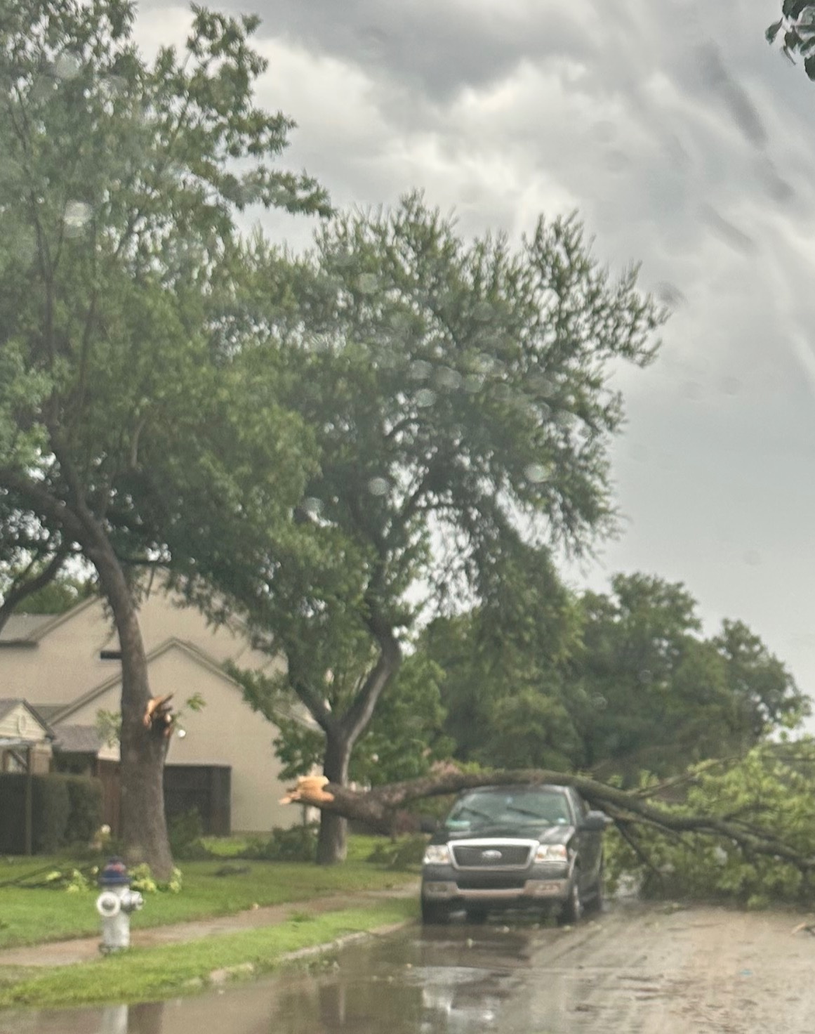 Aftermath of the storm in Dallas, near love field in the Elm Thicket neighborhood.