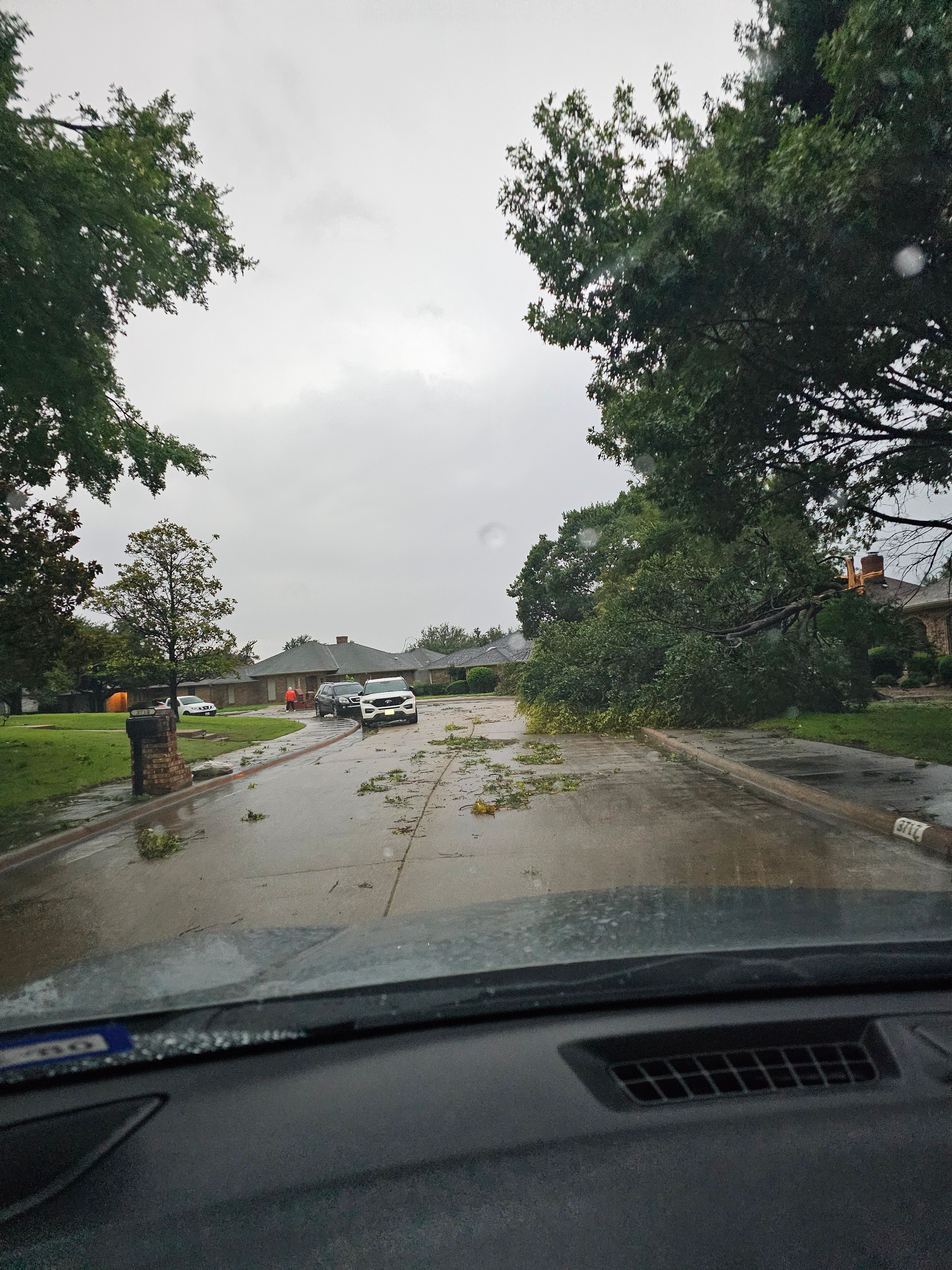 Carrollton (Rosemeade & Marsh) area