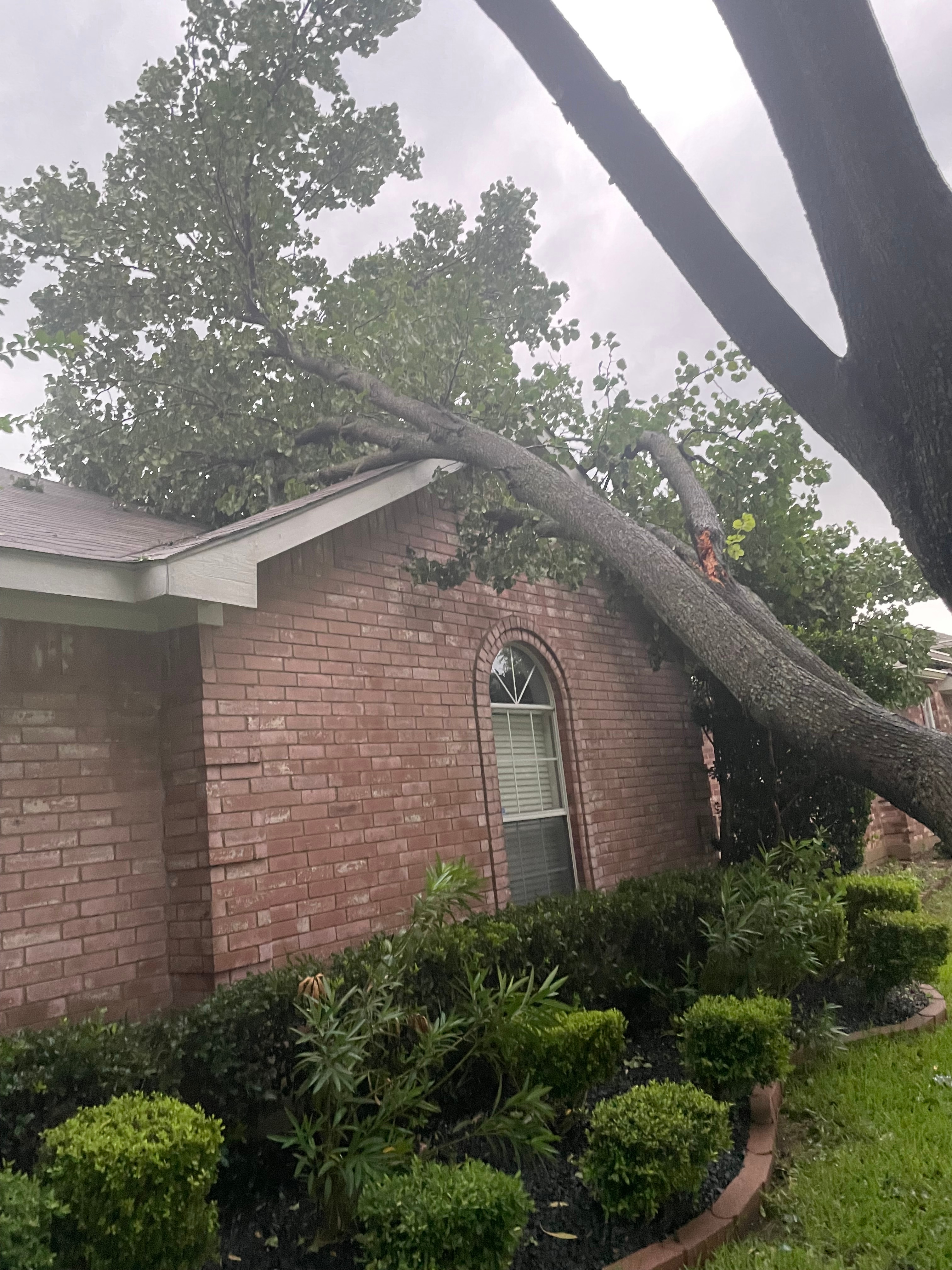 [tint-NBC_DFW] [EXTERNAL] House in cedar hill