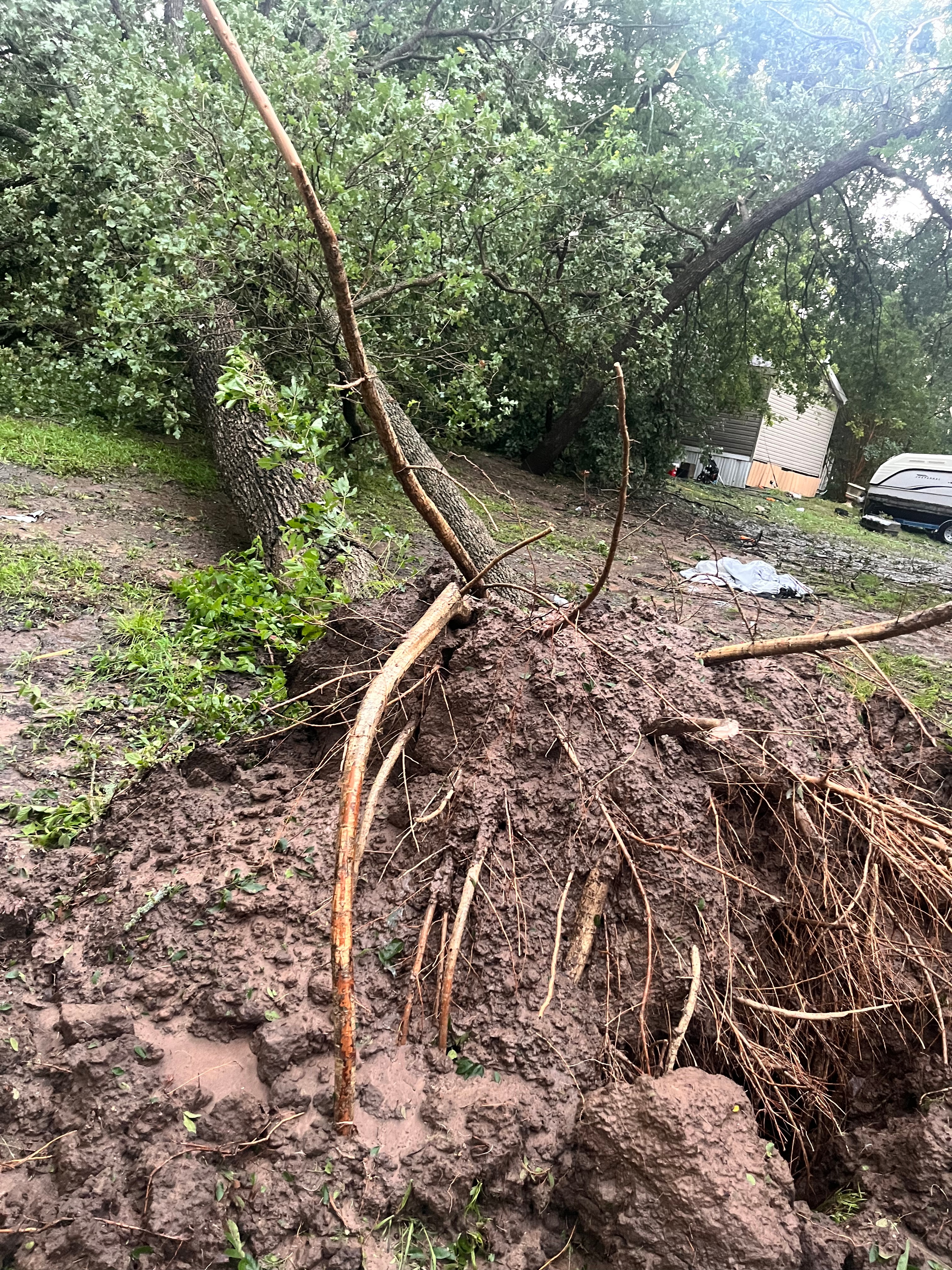 Kaufman oak ridge area , looks like a tornado came through