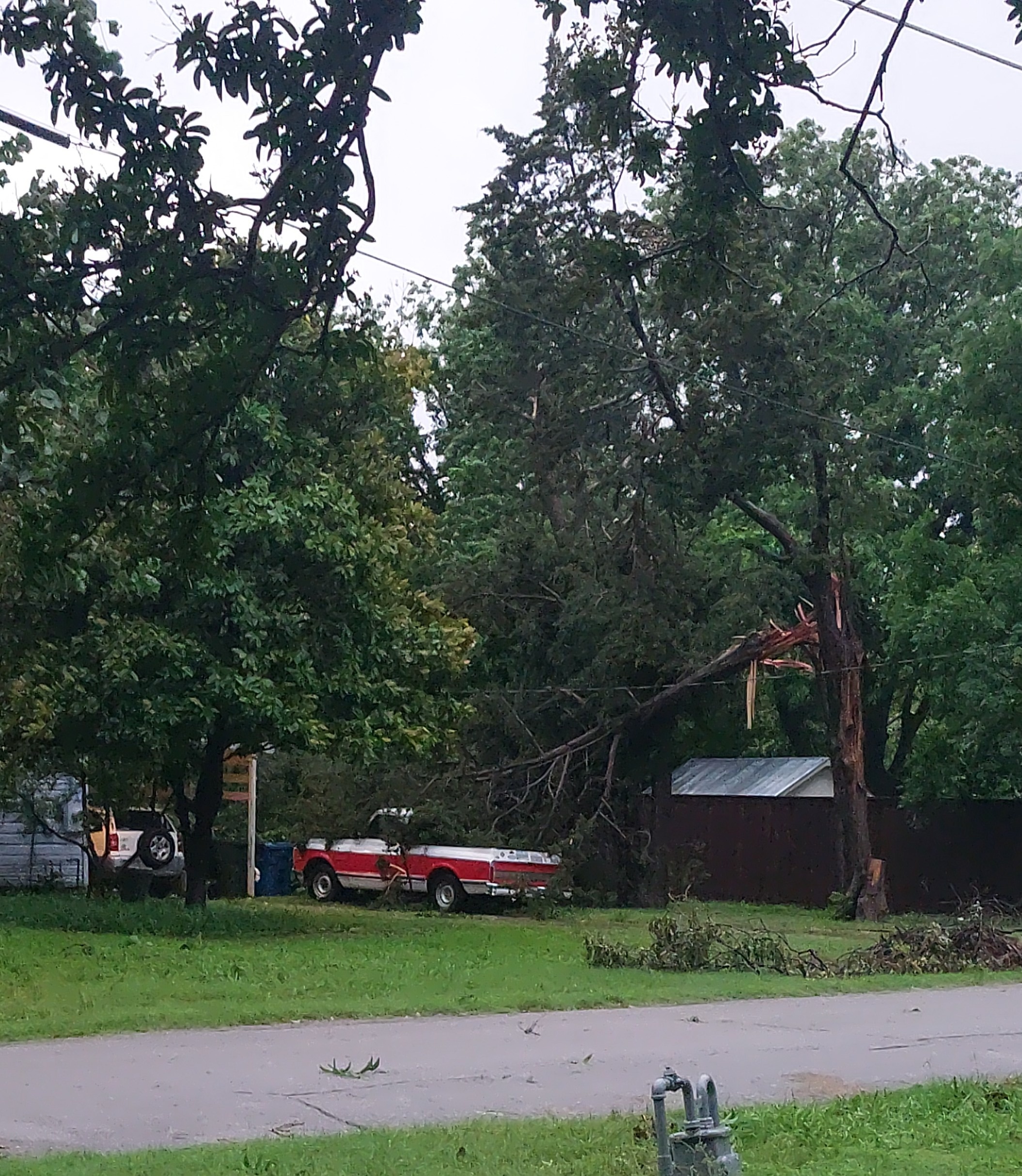Trees  down all around us..