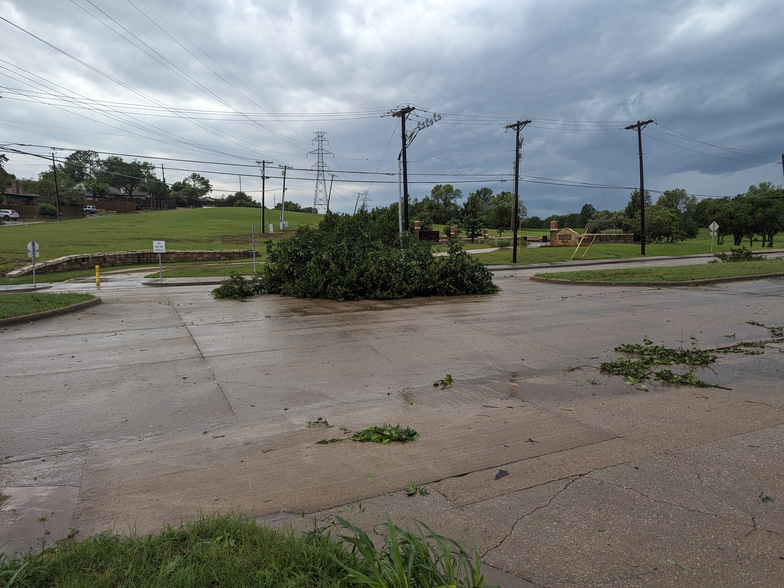 [tint-NBC_DFW] [EXTERNAL] Down trees off Northwest Dr in Mesquite