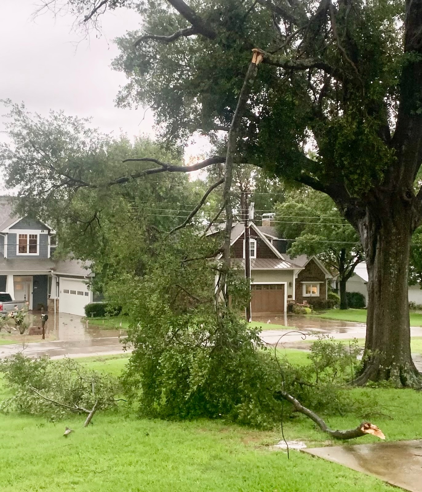 Sirens went off and lots of tree damage.