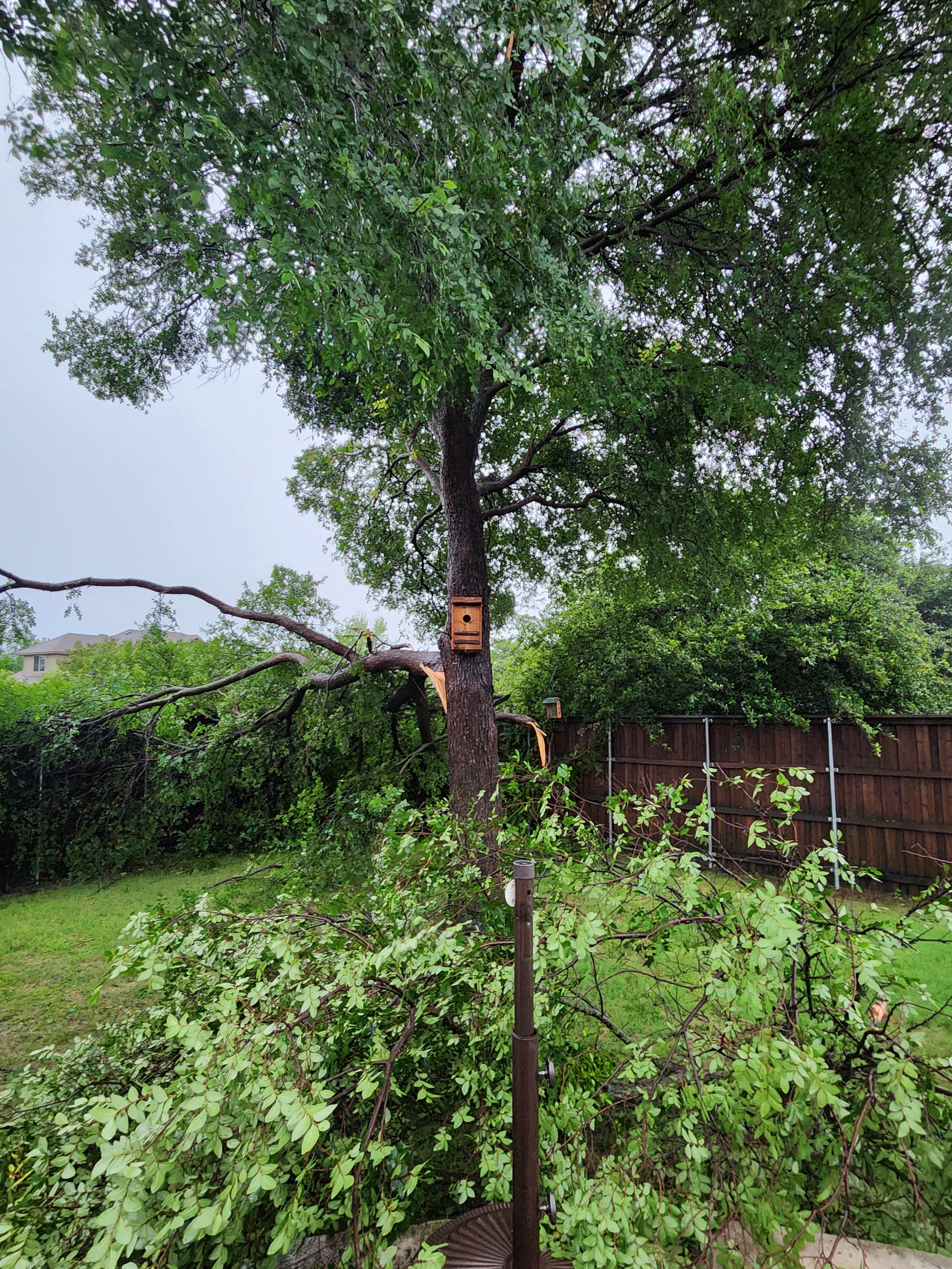 Pictures of storm damage in Flower Mound, TX.
-Kris Thompson<br />
469-261-0575
Sent from my Verizon, Samsung Galaxy smartphone<br />
Get Outlook for Android