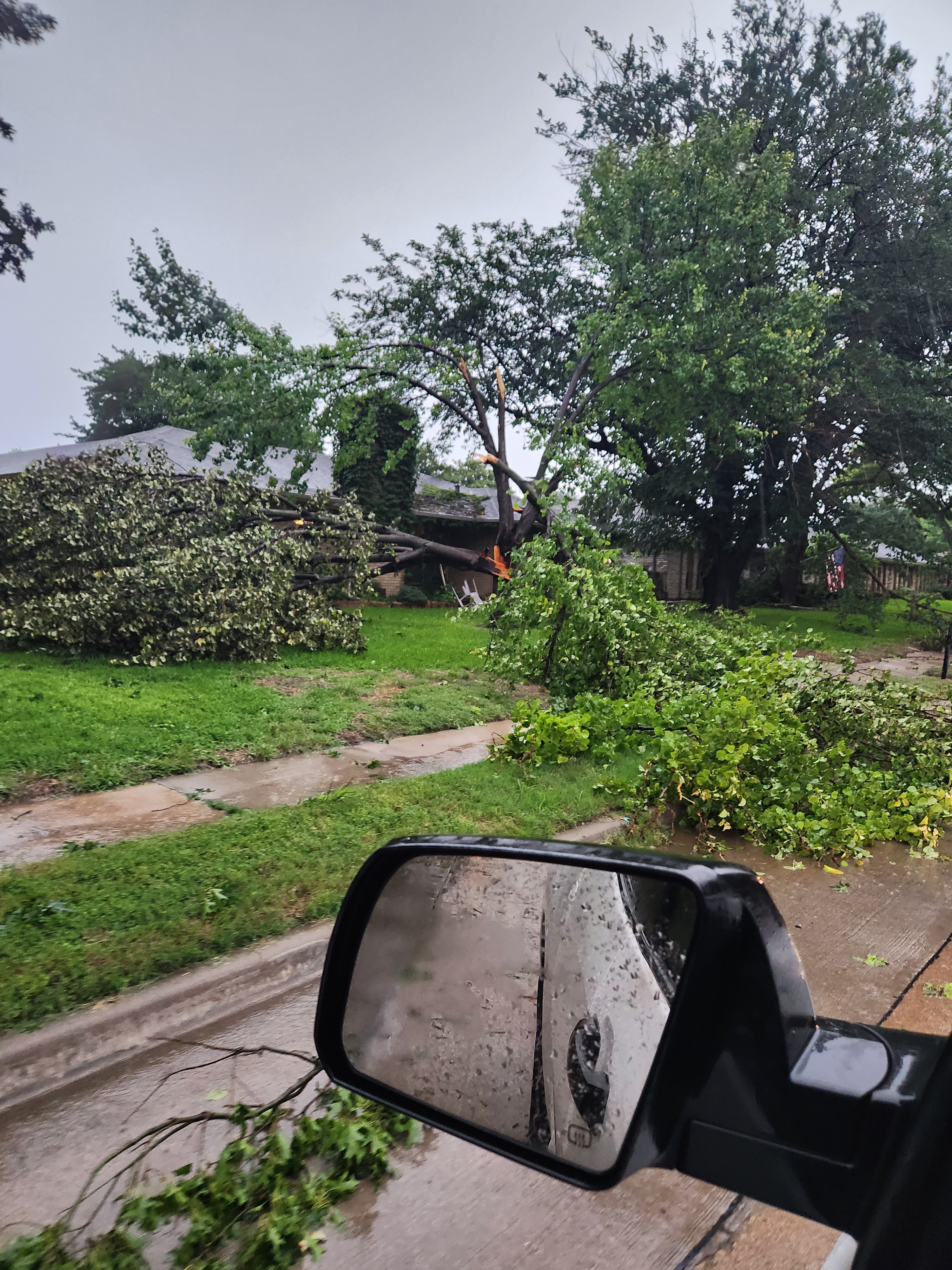 Storm debris