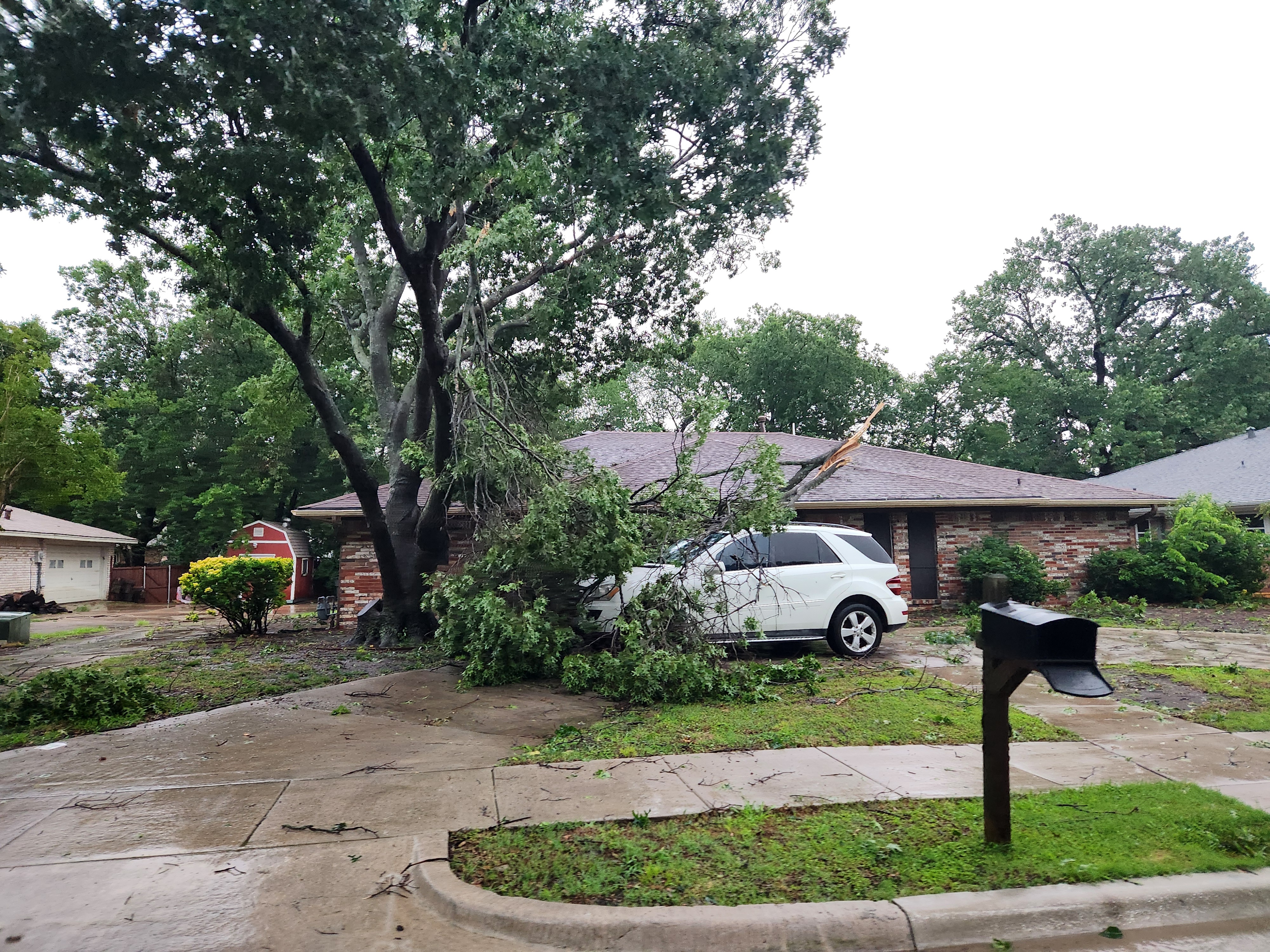 Storm debris