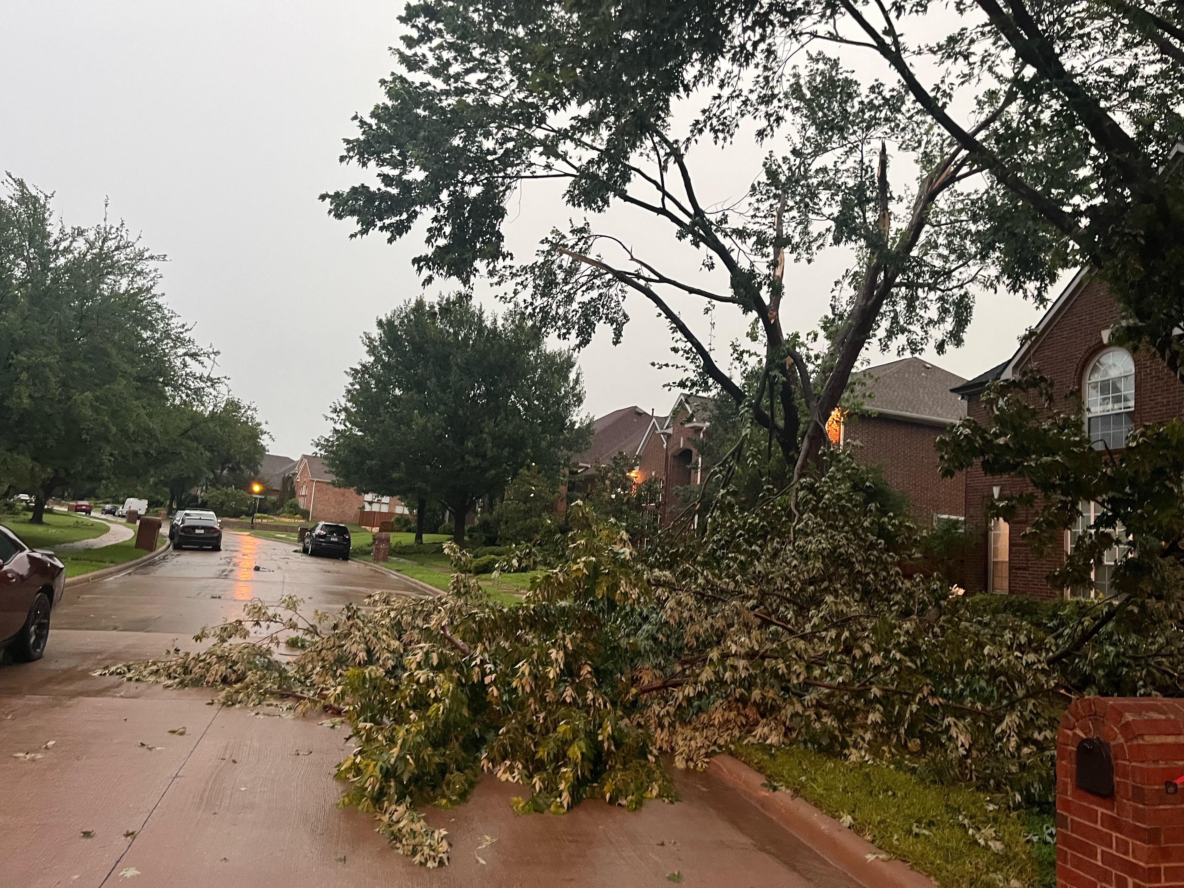 [tint-NBC_DFW] Fwd: [EXTERNAL] Trees down in north plano