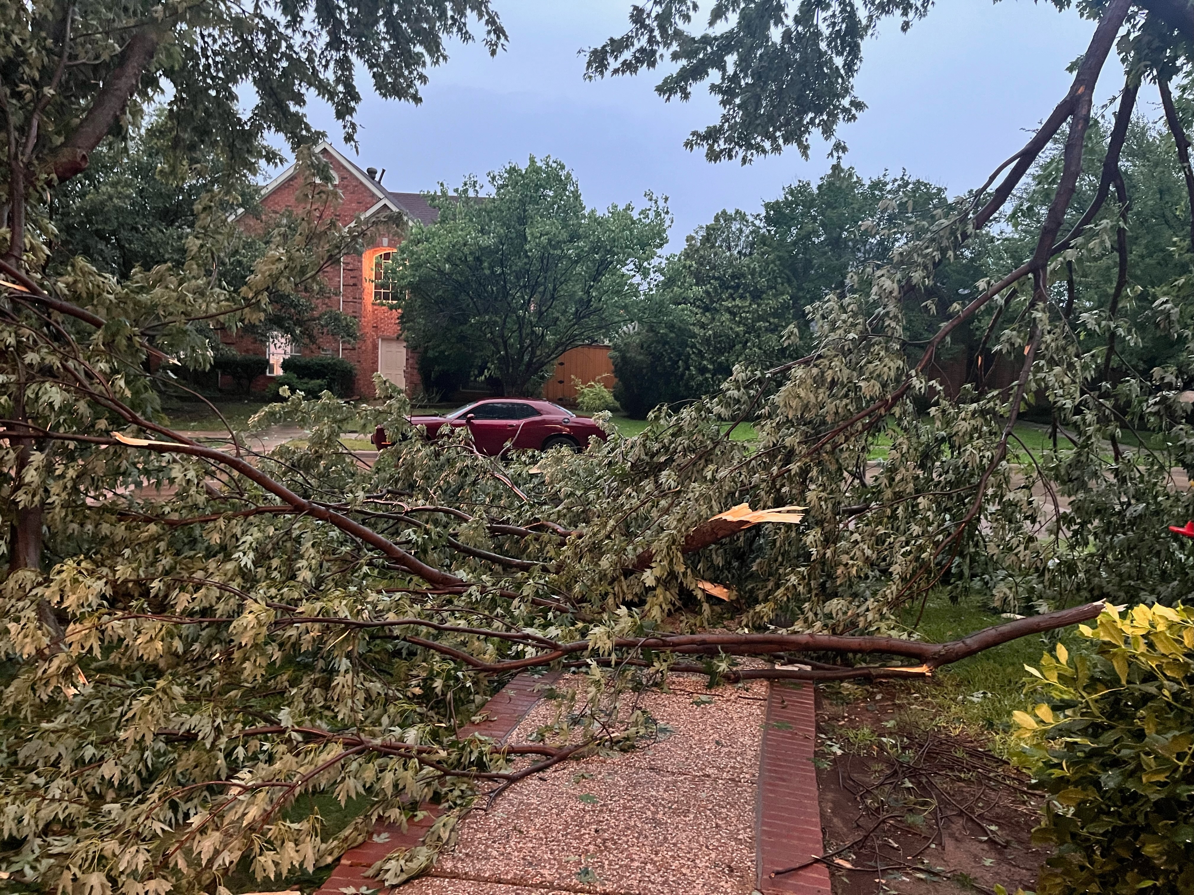 [tint-NBC_DFW] Fwd: [EXTERNAL] Trees down in north plano