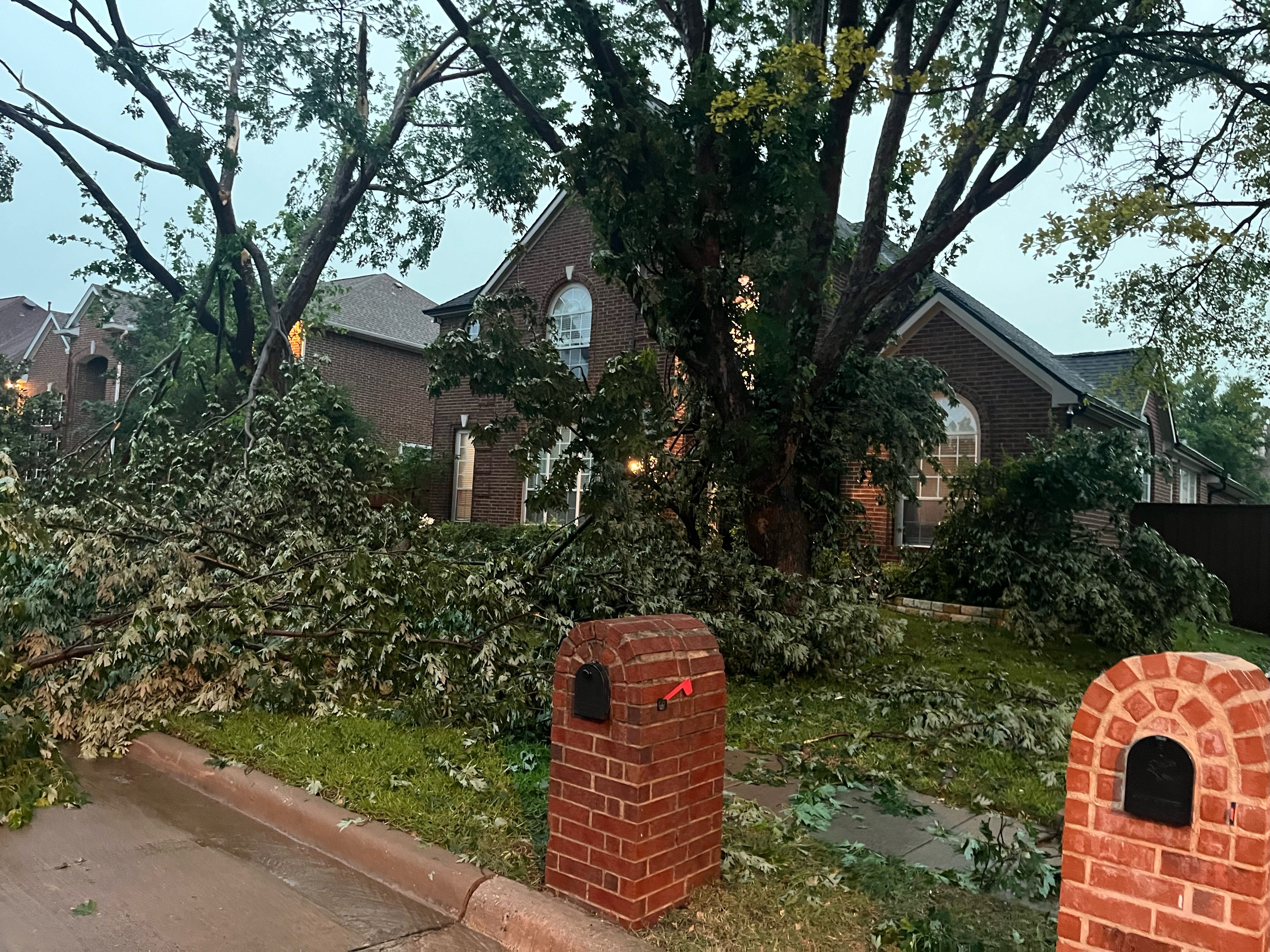 [tint-NBC_DFW] Fwd: [EXTERNAL] Trees down in north plano