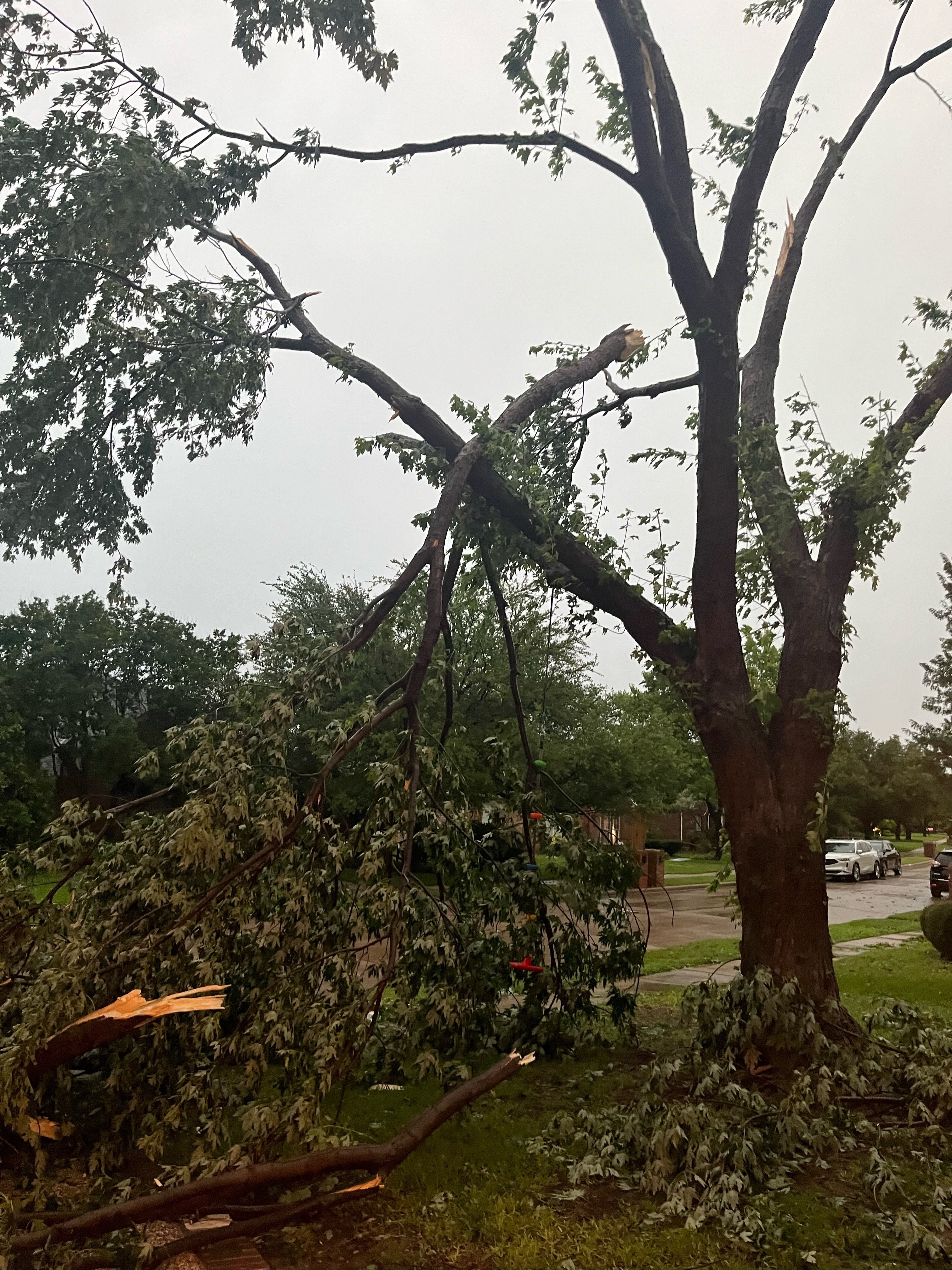 [tint-NBC_DFW] Fwd: [EXTERNAL] Trees down in north plano