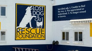 La Fundación de Rescate de Perros y Gatos Perdidos.