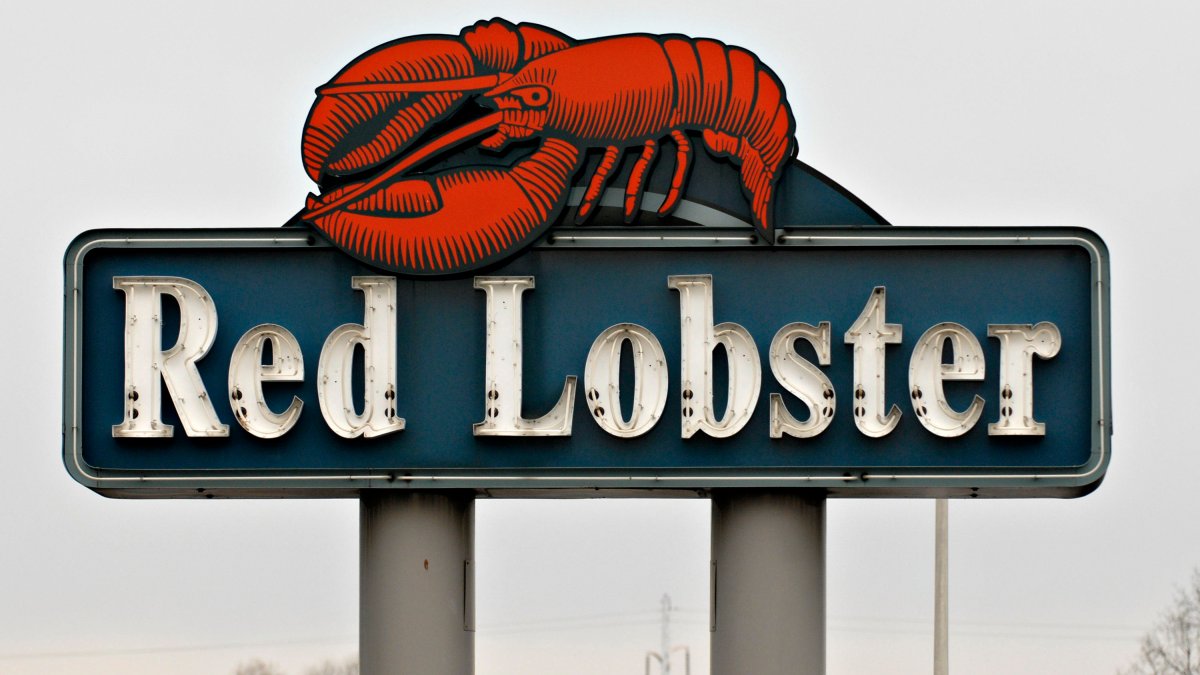 red lobster net worth 2020 - Ilustrasi 2