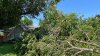 Cleanup piles up after Tuesday's North Texas storms