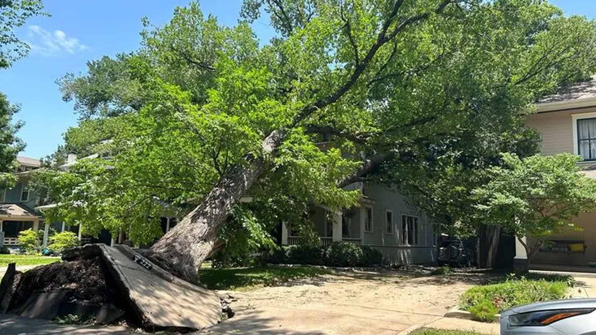 Wait for help cleaning up in Dallas can be days, weeks – NBC 5 Dallas-Fort Worth - Vimarsana News