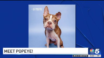 Pet of the Week: Popeye!