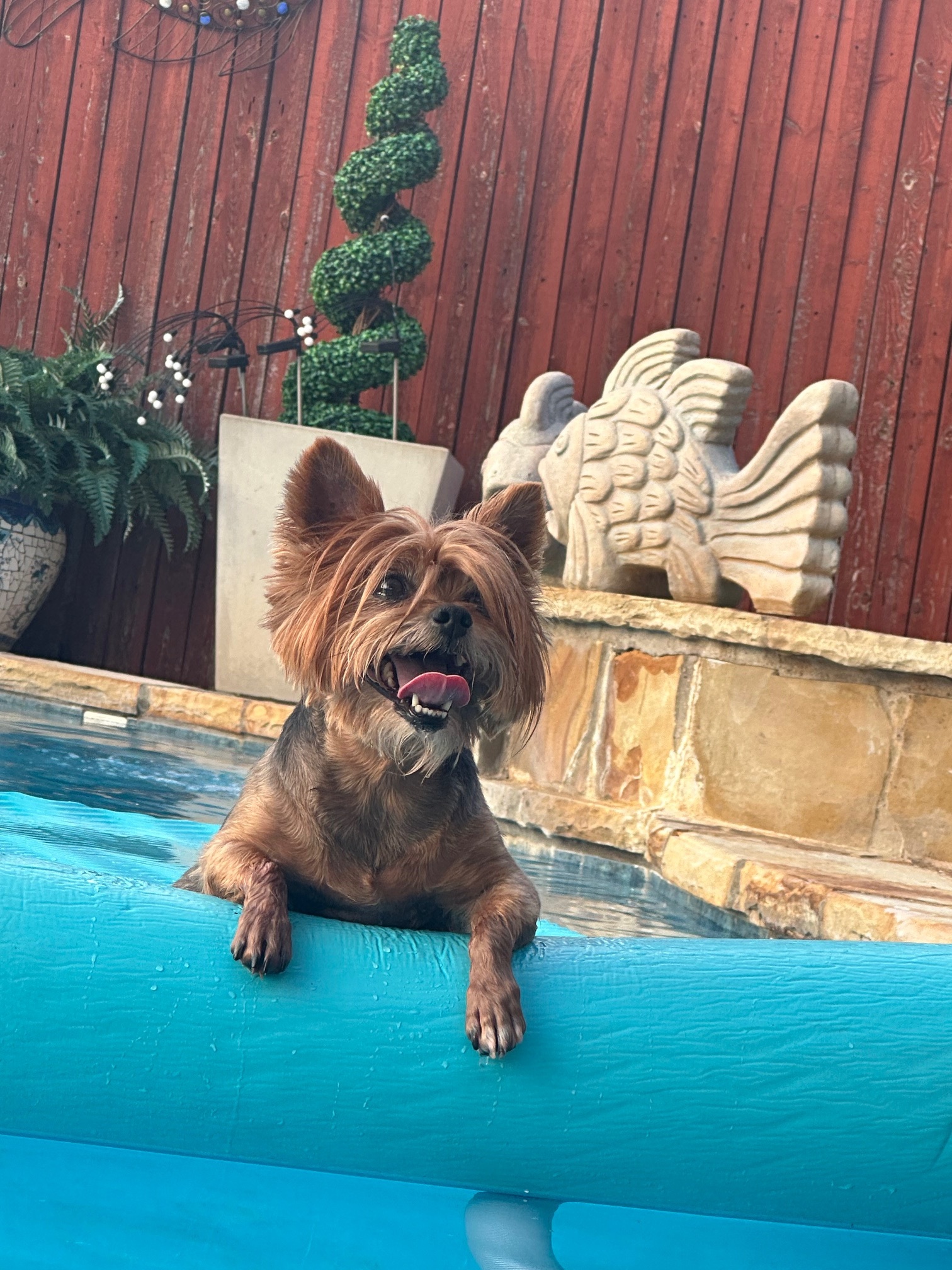 On her personal float. Bad hair don’t care 😍