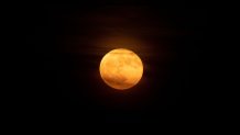 Plný "Strawberry Moon"