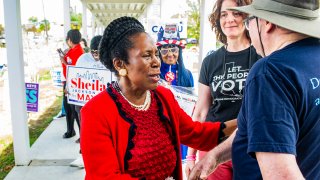 File. Mayoral candidate, Sheila Jackson Lee