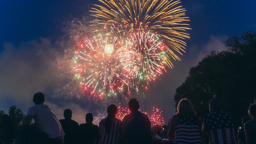 People watch Fourth of July fireworks on the National Mall.