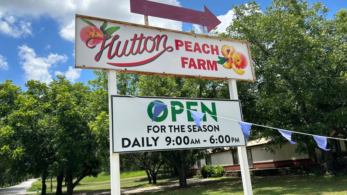 Parker County Color Of The Day Parker County Peach Festival hosting 39th annual festival – NBC 5