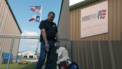 Free service dogs for disabled American veterans