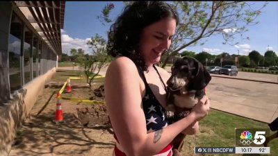 North Texas dog rescued from drainpipe