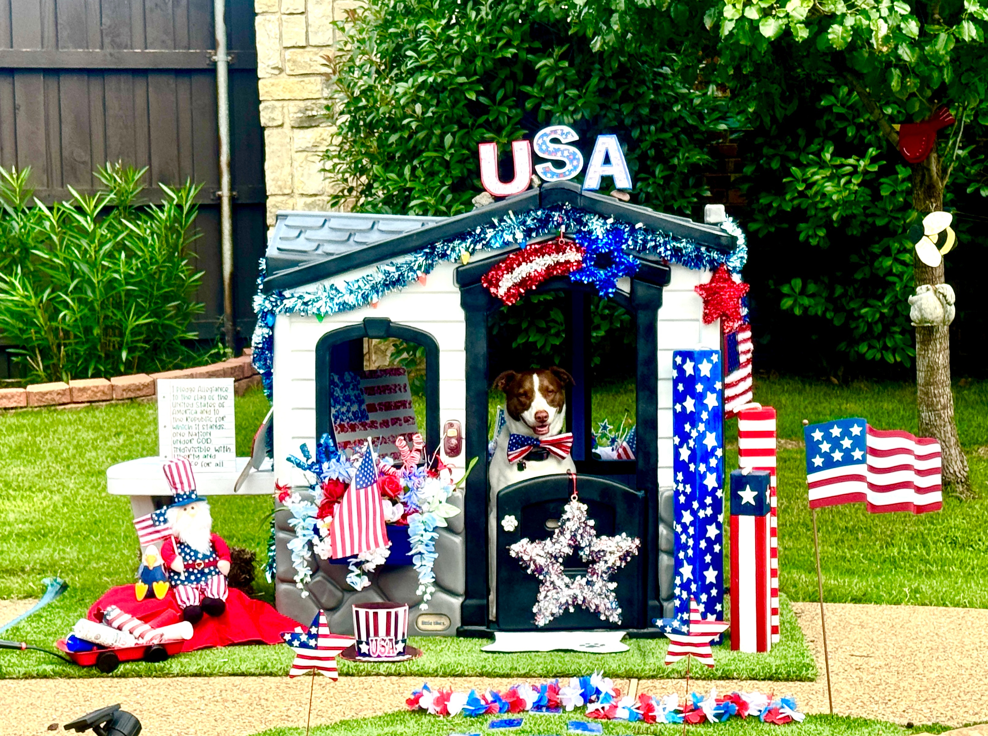 Winnie the Pup has her house all decorated for the 4th of July.  She actually had it ready by Flag Day and is displaying her American flag made with her paw prints inside. Winnie is going to keep the Red, White, and Blue theme up through the Olympics. Go Team America!  Happy Independence Day!