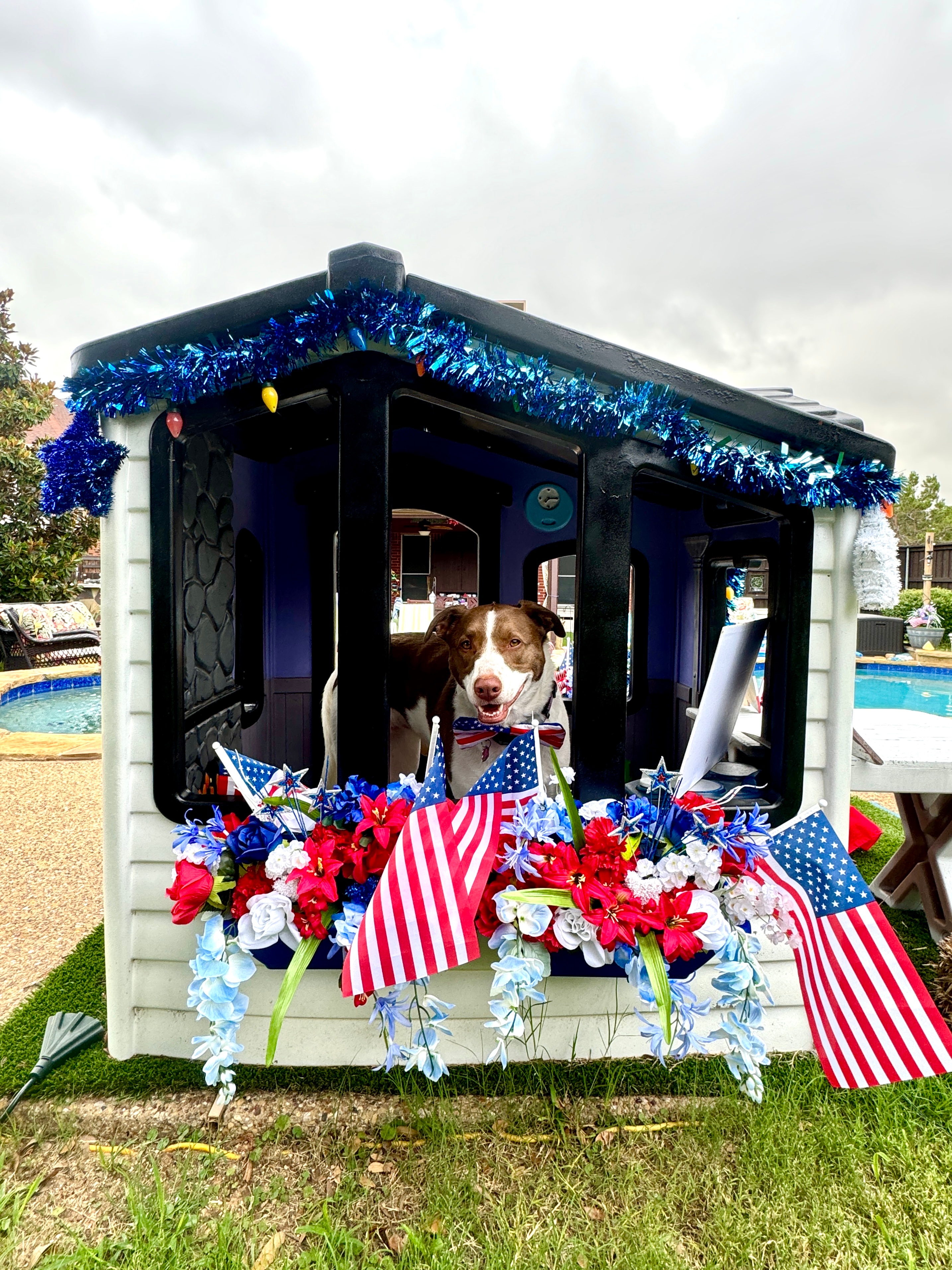 Winnie the Pup has her house all decorated for the 4th of July.  She actually had it ready by Flag Day and is displaying her American flag made with her paw prints inside. Winnie is going to keep the Red, White, and Blue theme up through the Olympics. Go Team America!  Happy Independence Day!