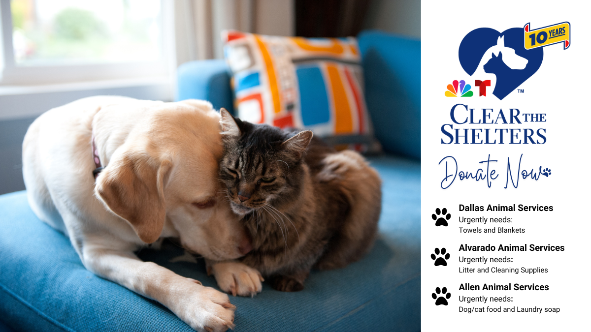 Clear the Shelters Donations Community Calendar NBC 5 DallasFort Worth
