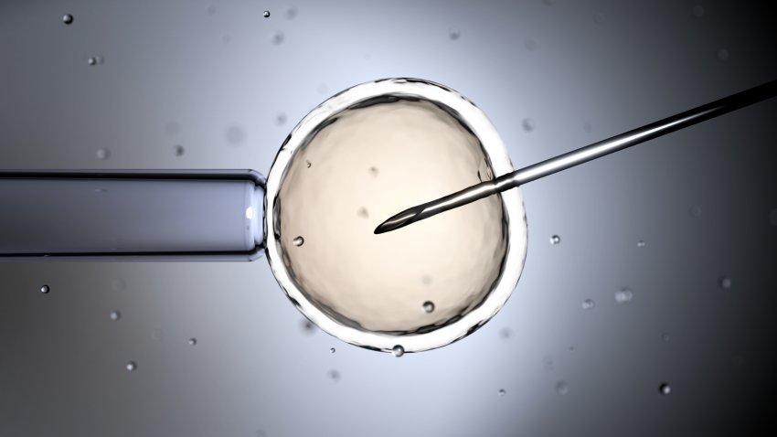 Todo lo que necesitas saber sobre la fecundación in vitro