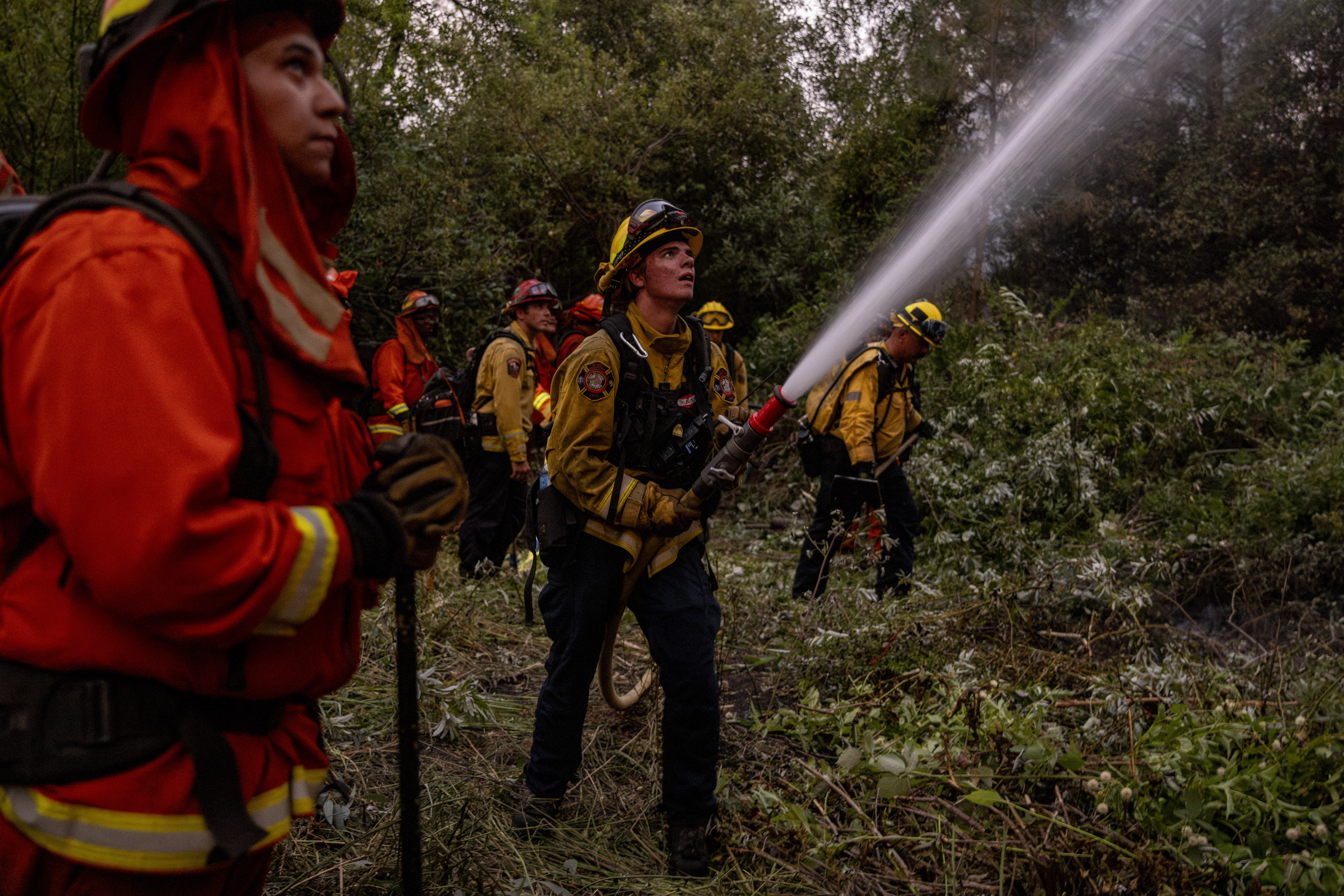 Rocco Olhiser, a firefighter with the Colusa Fire Department, center, douses water on a burning tree while battling the Thompson fire in Oroville, Tuesday, July 2, 2024.