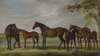 George Stubbs "Mares and Foals Belonging to the Second Viscount Bolingbroke," painting of horses at the Kimbell Art Museum